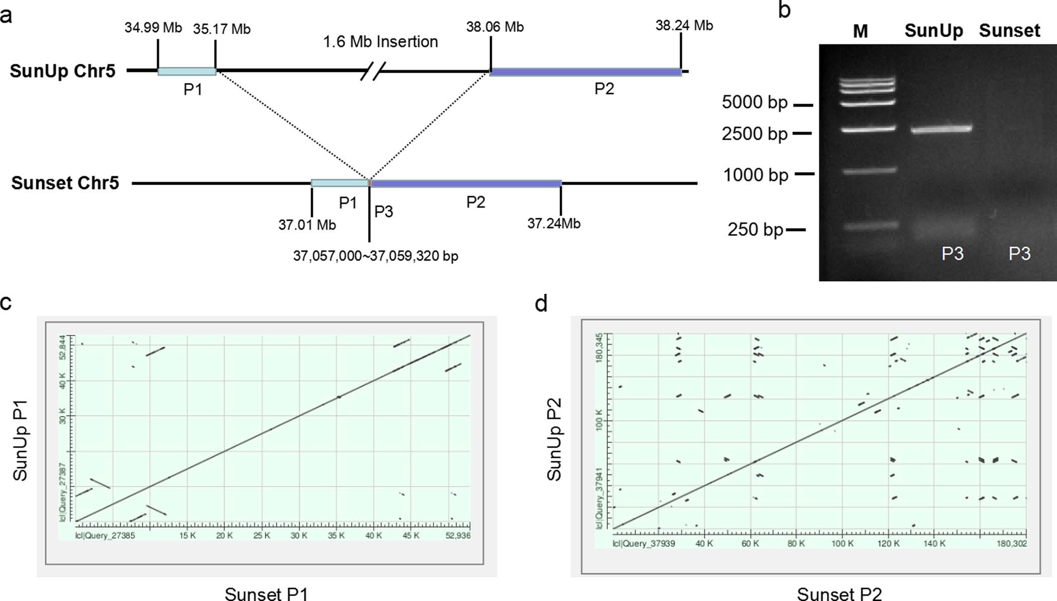Extended Data Fig. 2