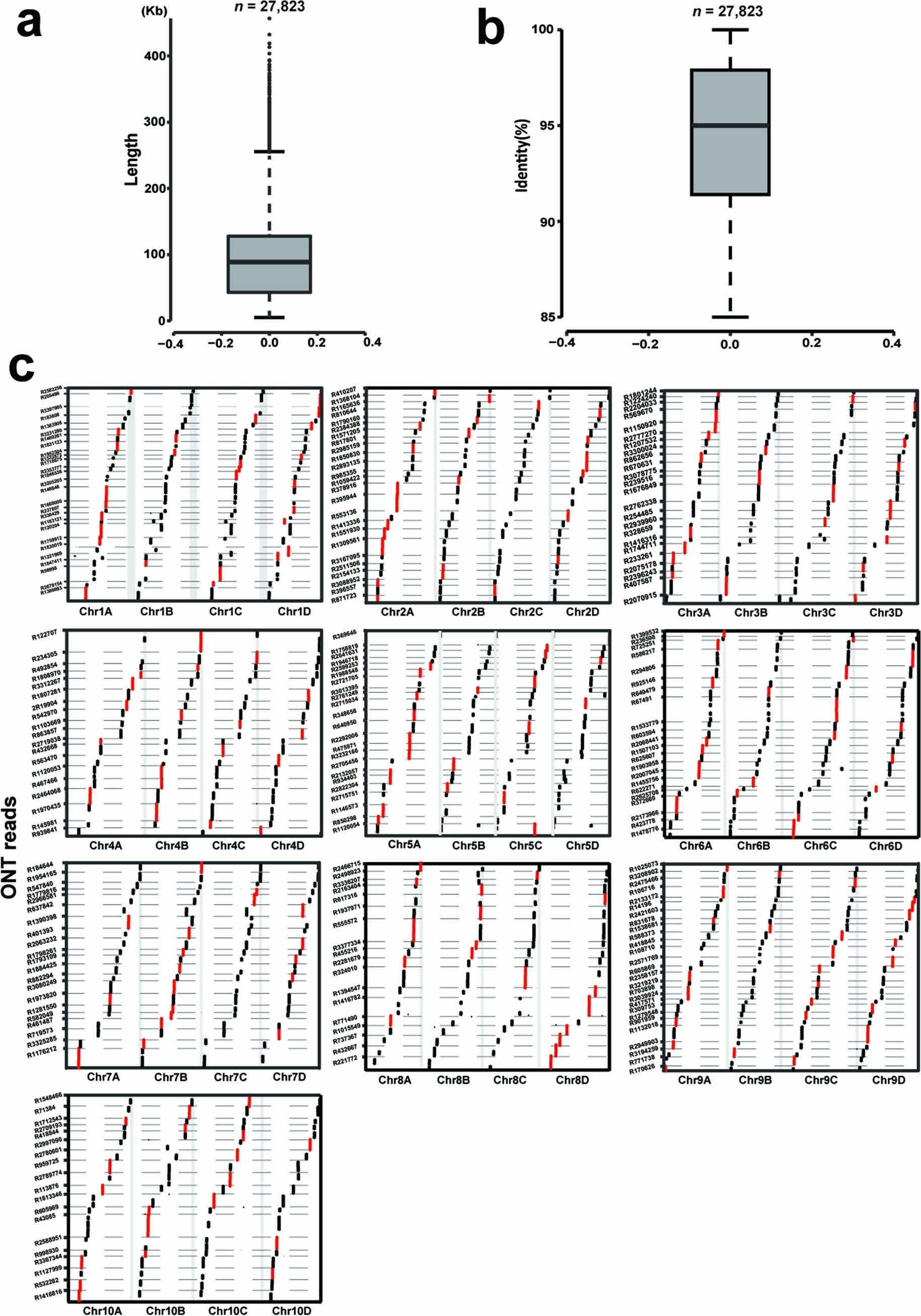 Extended Data Fig. 3: Assessment of S. spontaneum Np-X genome assembly using ultra-long reads.