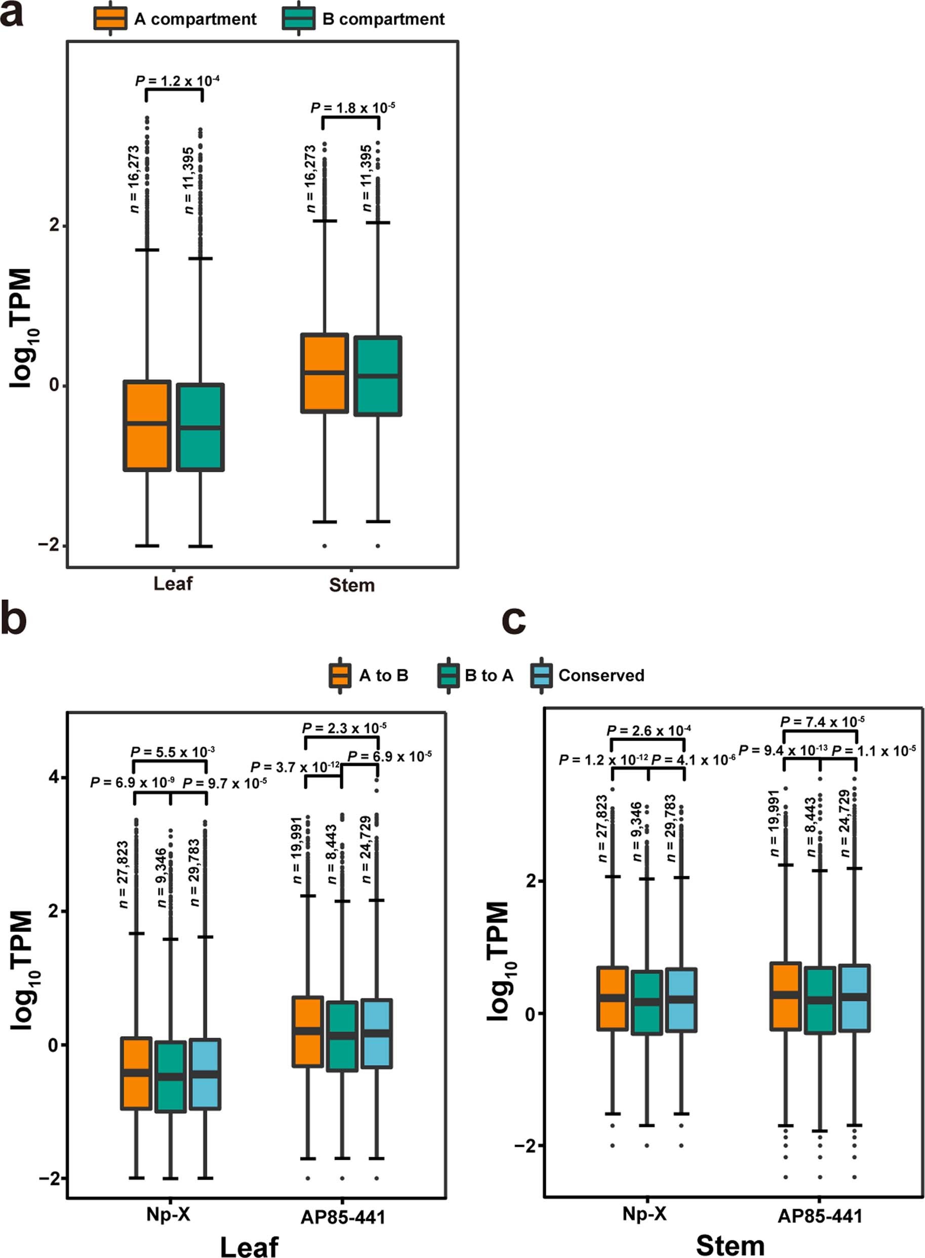Extended Data Fig. 8: Transcript expression of genes within B to A compartment switching in S. spontaneum Np-X and corresponding genes in S. spontaneum AP85-441.