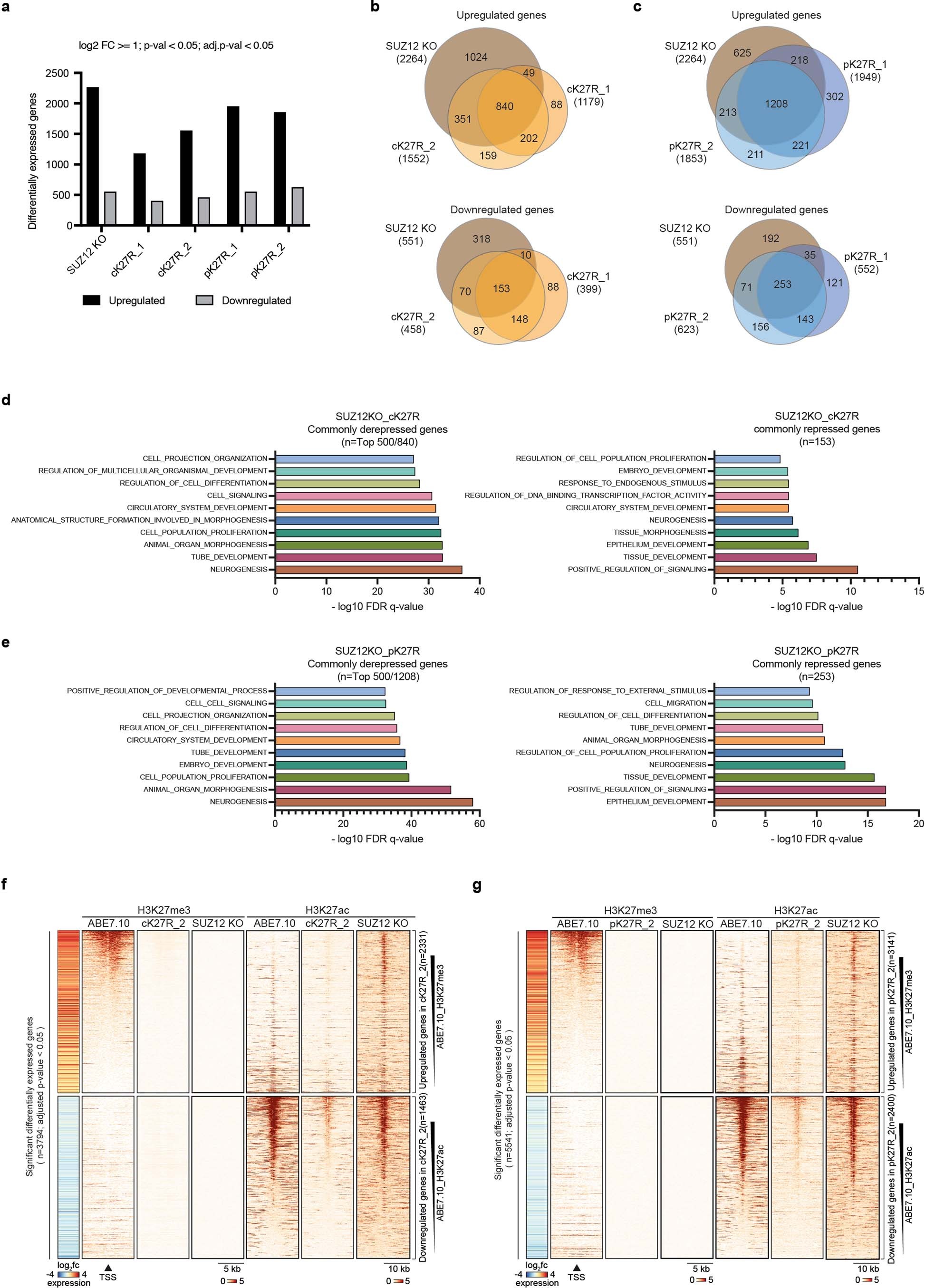 Extended Data Fig. 6