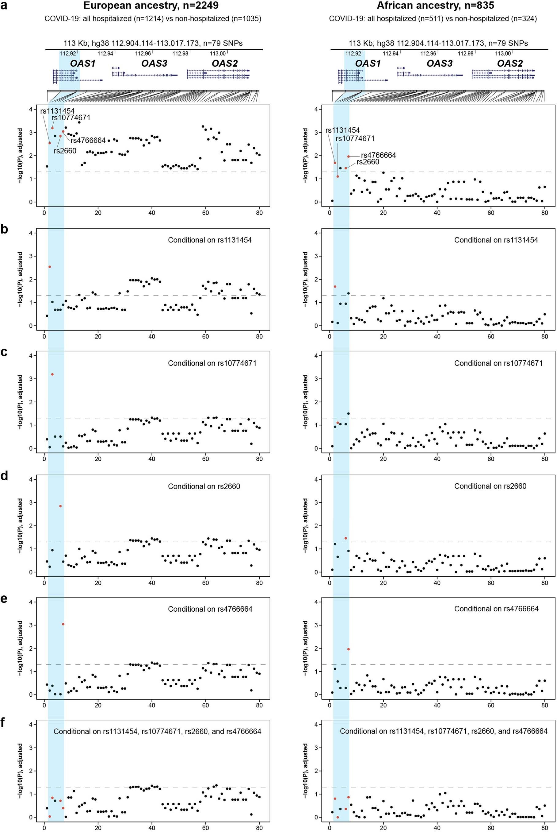 Extended Data Fig. 3: Conditional association analyses for COVID-19 severity within the chr12q24.13 region in COVNET patients of European and African ancestries.