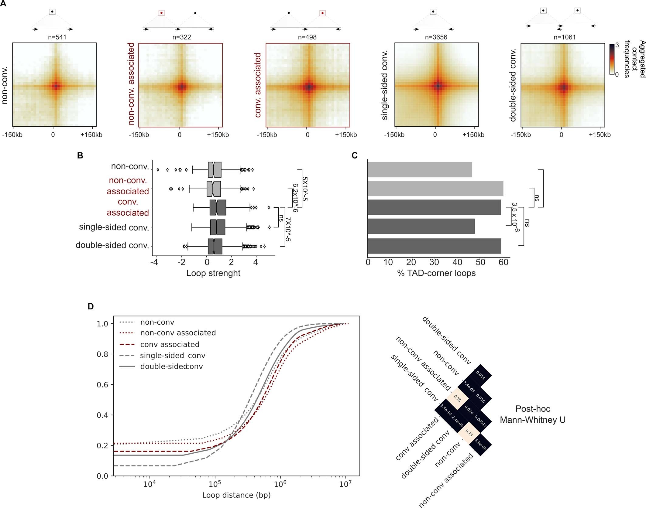 Extended Data Fig. 6: Paired convergent/nonconvergent loops display longer distances between anchors and more association to TAD-corner loops than unidirectional convergent loops.