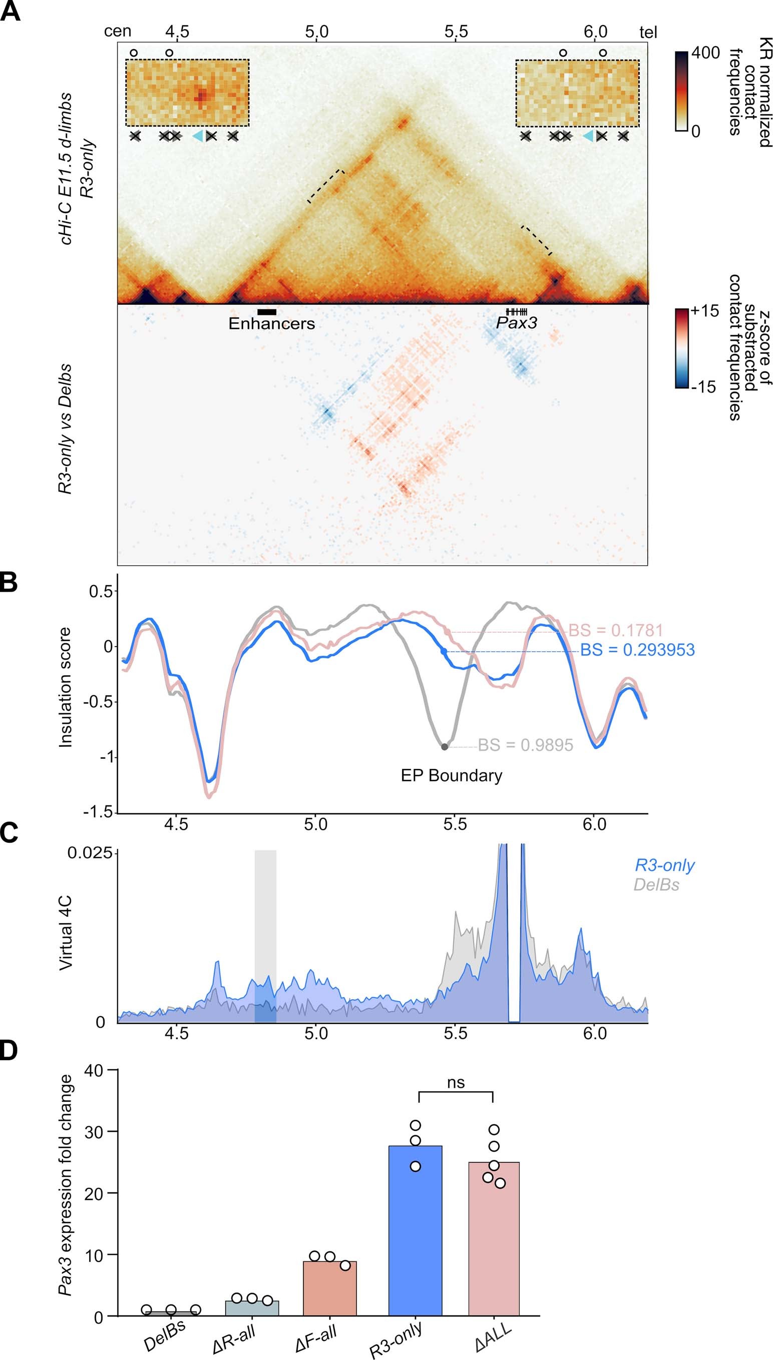 Extended Data Fig. 8: TAD fusion in R3-only mutants.