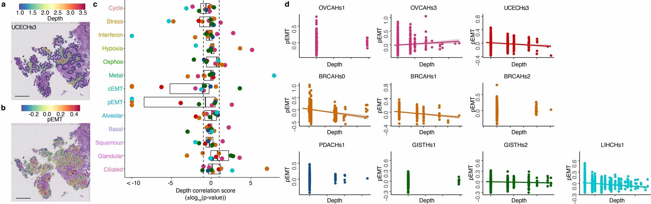 Extended Data Fig. 8: Relationship between pEMT and cancer spot depth.