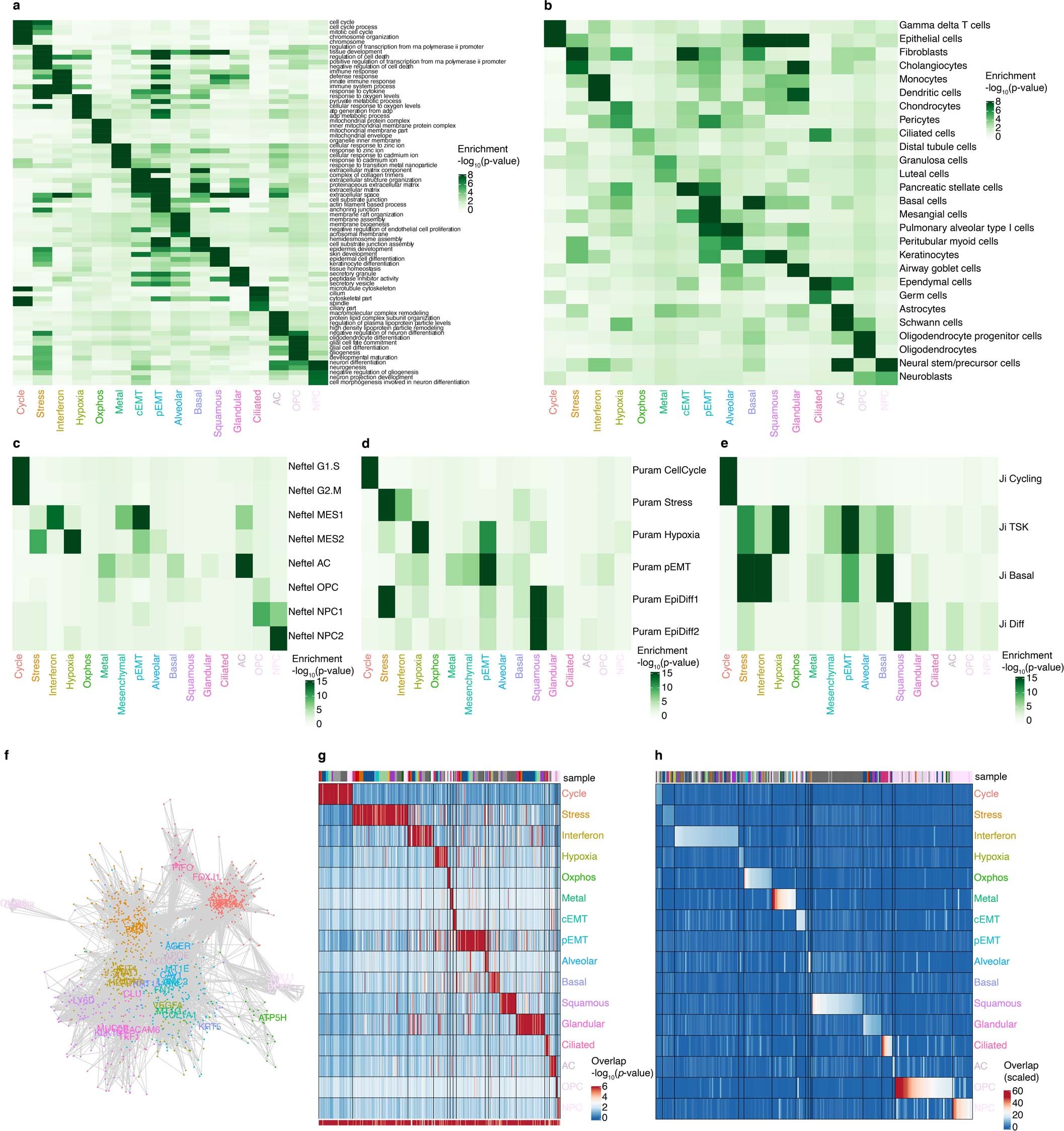 Extended Data Fig. 3: Additional analyses for the derivation of the cancer gene modules catalog.