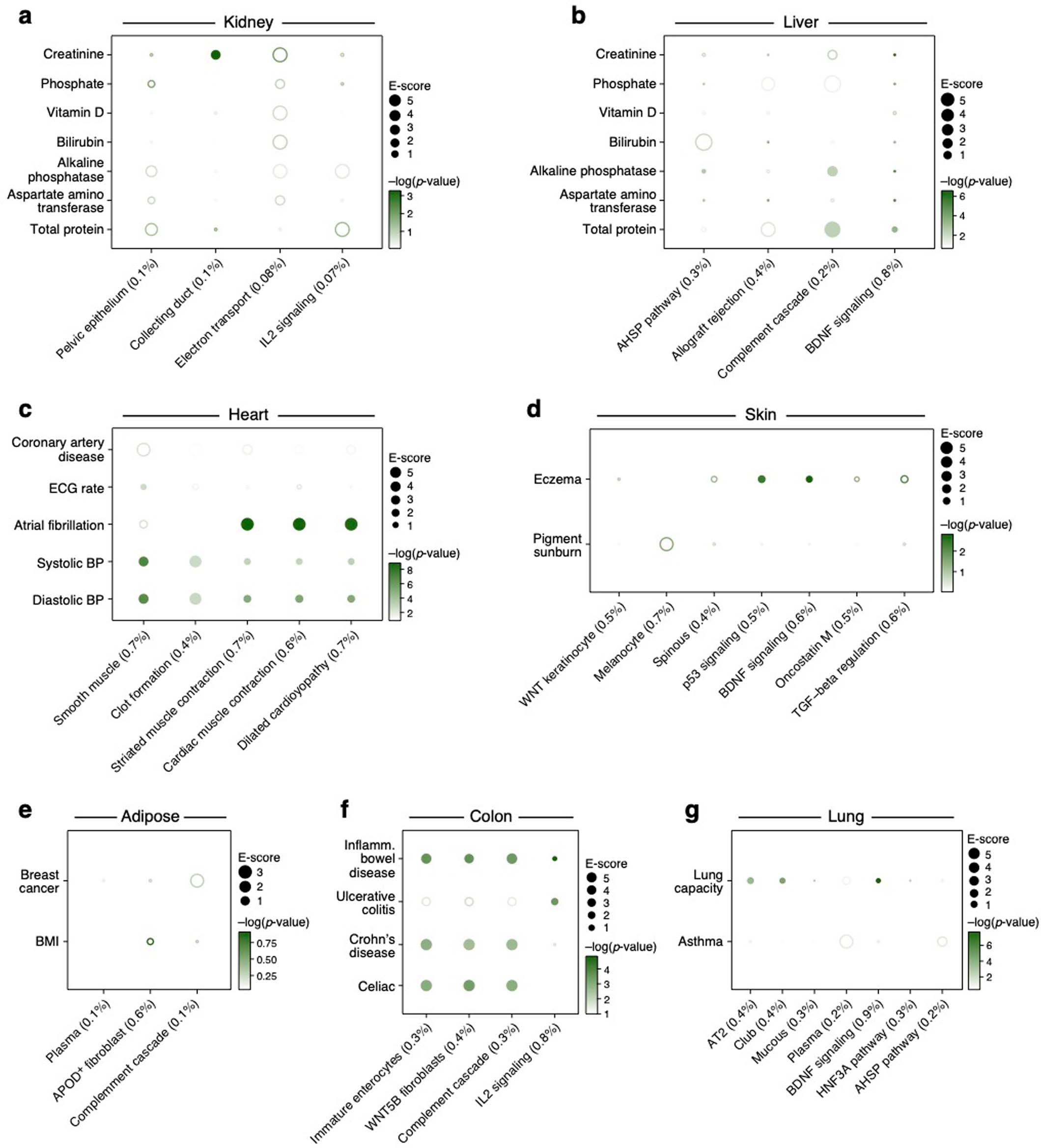 Extended Data Fig. 5: Linking cellular process programs to relevant diseases and traits in each of six tissues.