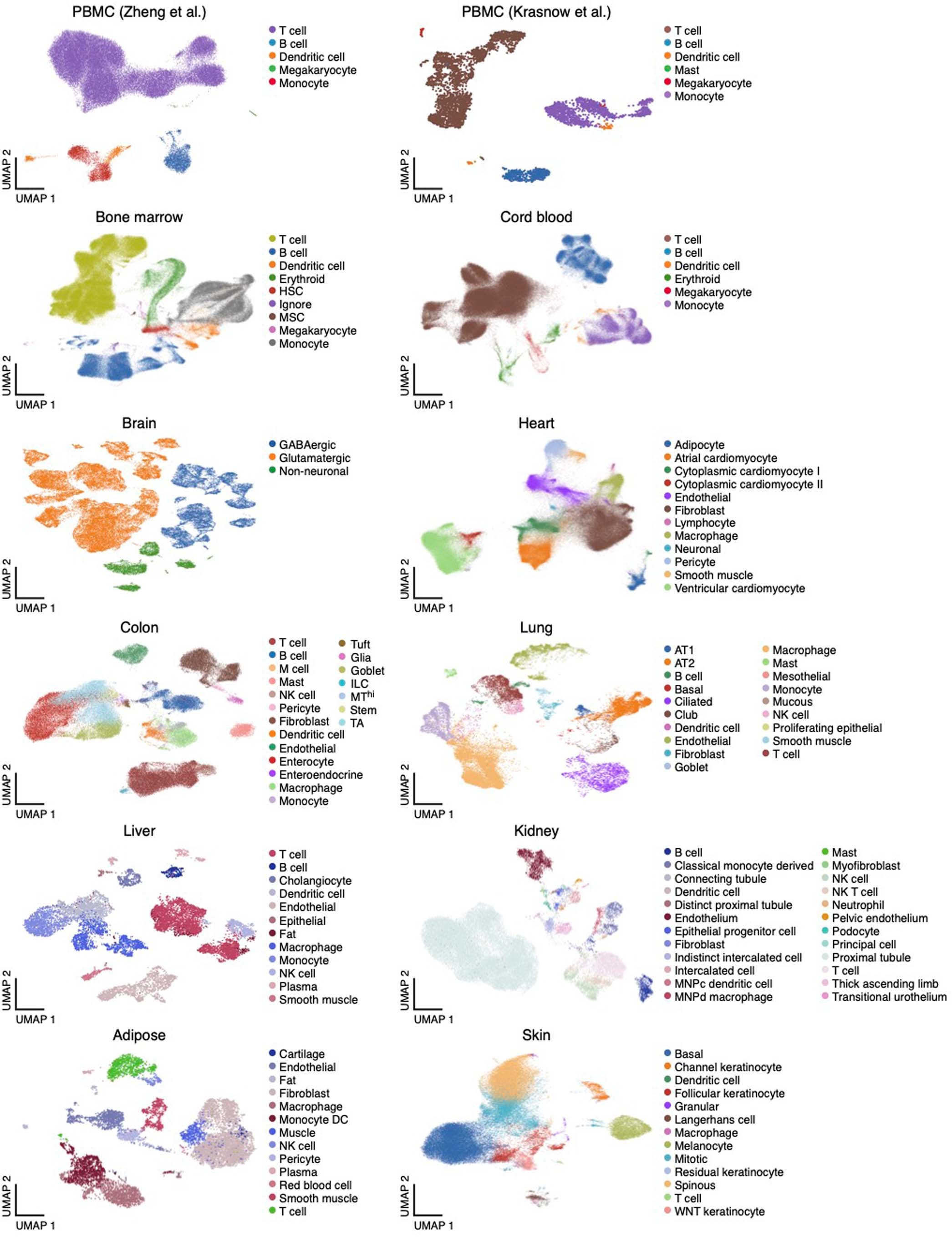 Extended Data Fig. 1: Single-cell RNA-seq datasets.