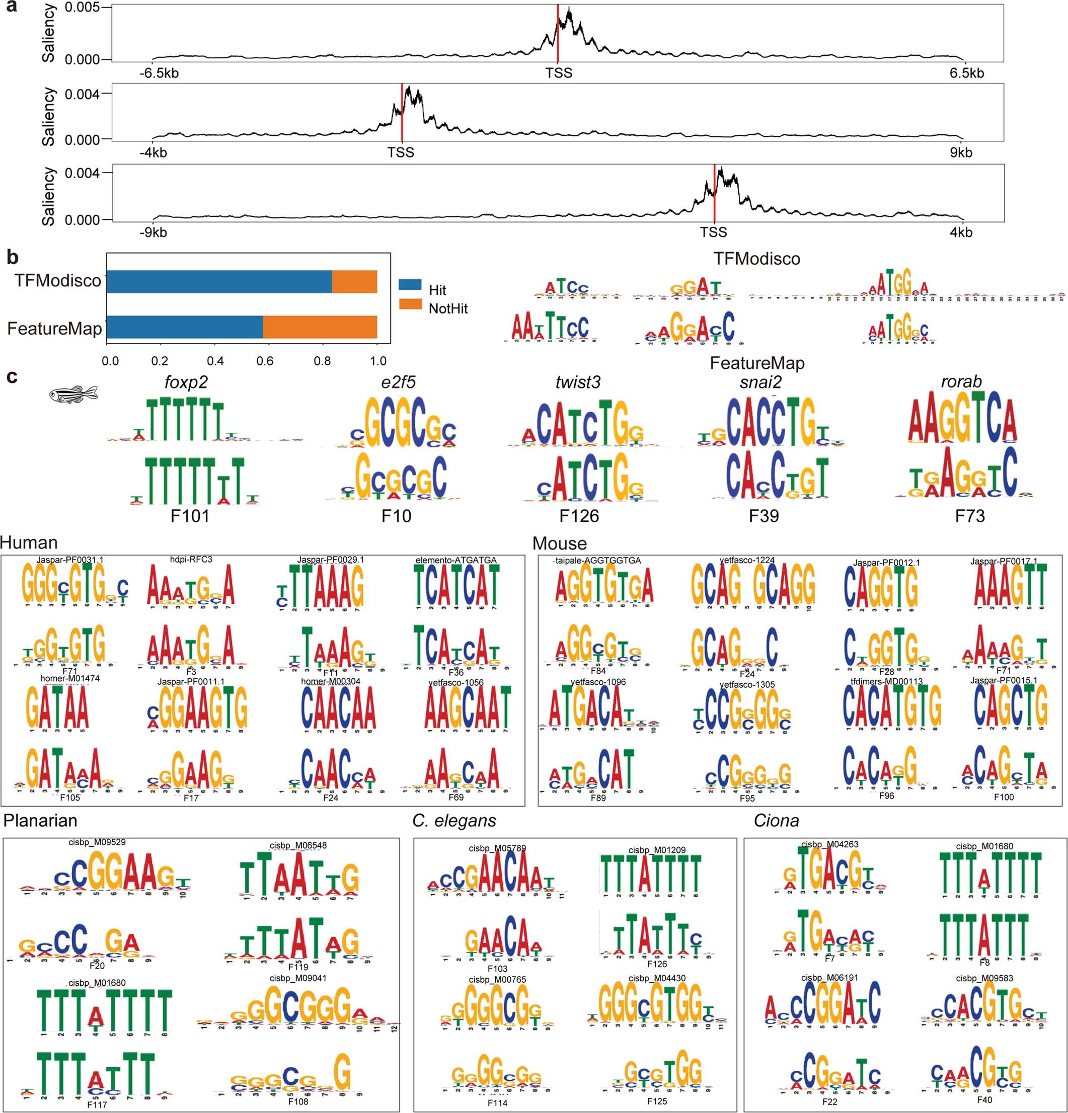 Extended Data Fig. 9: Overview of sequence patterns recognized by Nvwa.