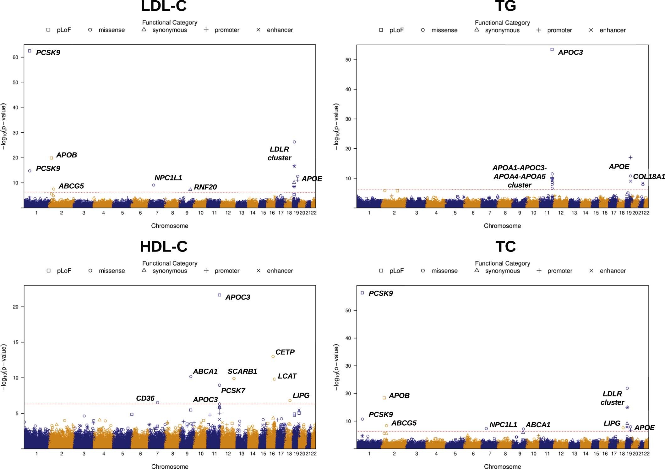 Extended Data Fig. 2: Manhattan plots for gene-centric unconditional meta-analysis of lipid traits LDL-C, HDL-C, TG and TC using TOPMed WGS data (n = 30,138).