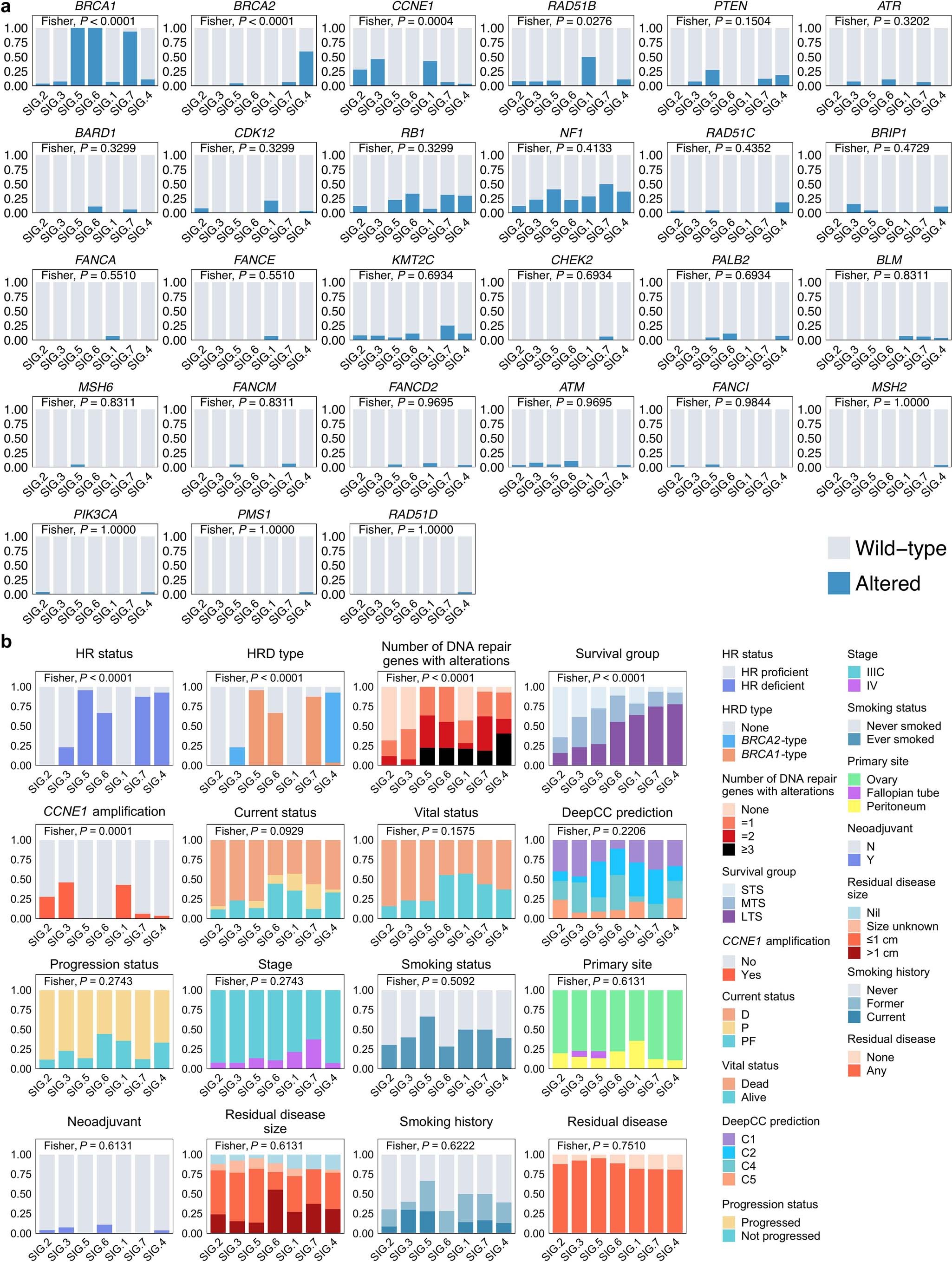 Extended Data Fig. 4: Categorical features of mutational signature clusters.