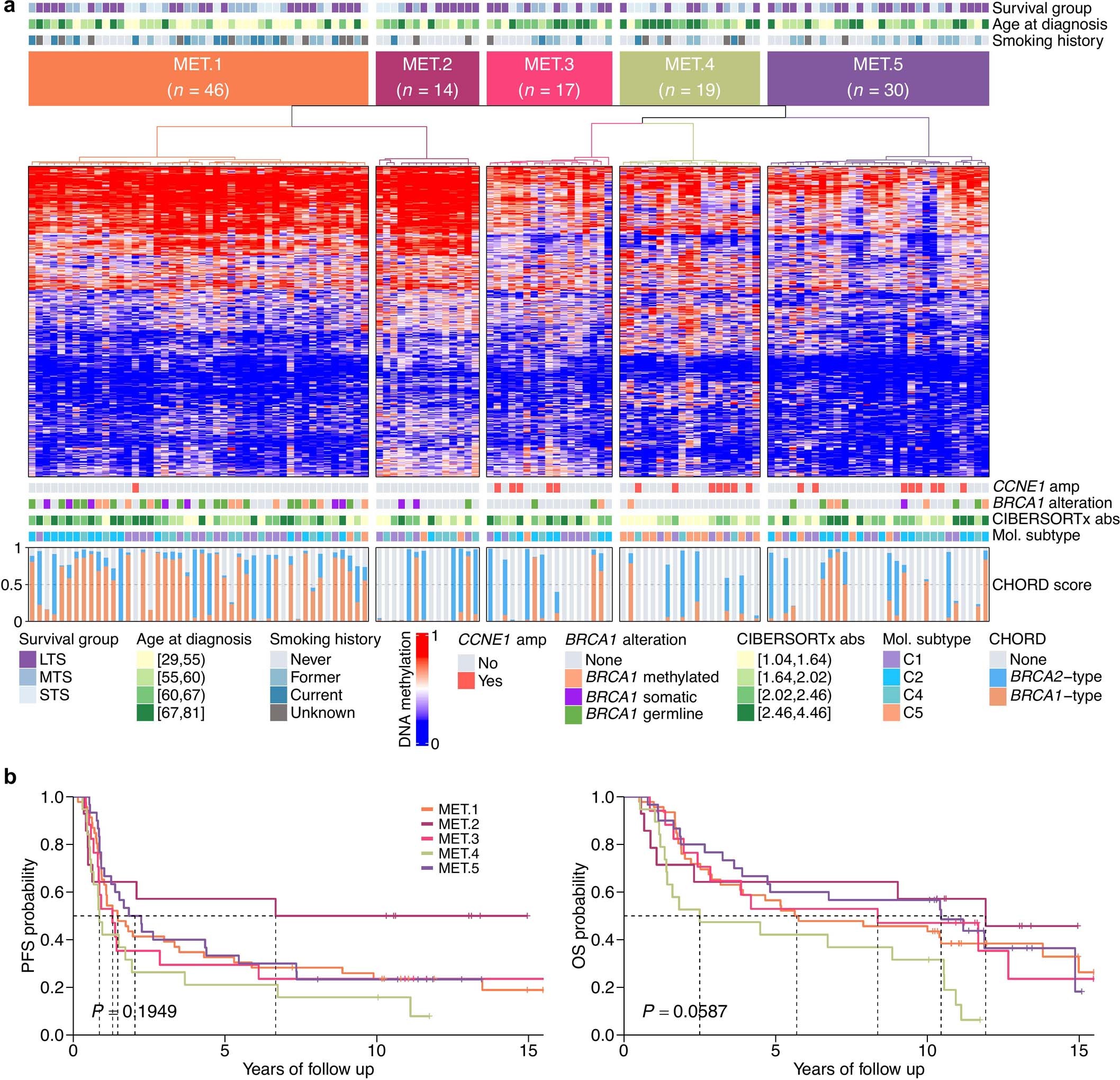 Extended Data Fig. 6: DNA methylation clustering of primary tumor genomes.