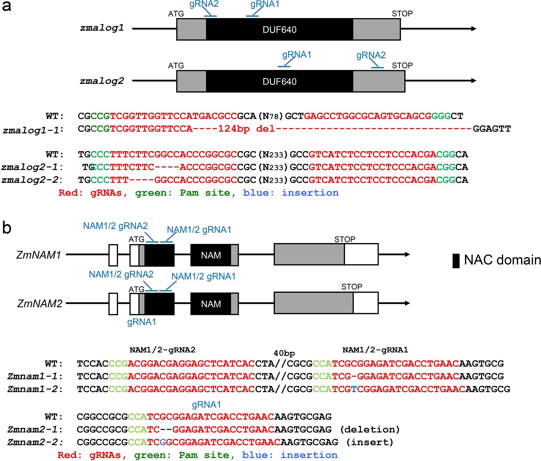 Extended Data Fig. 6