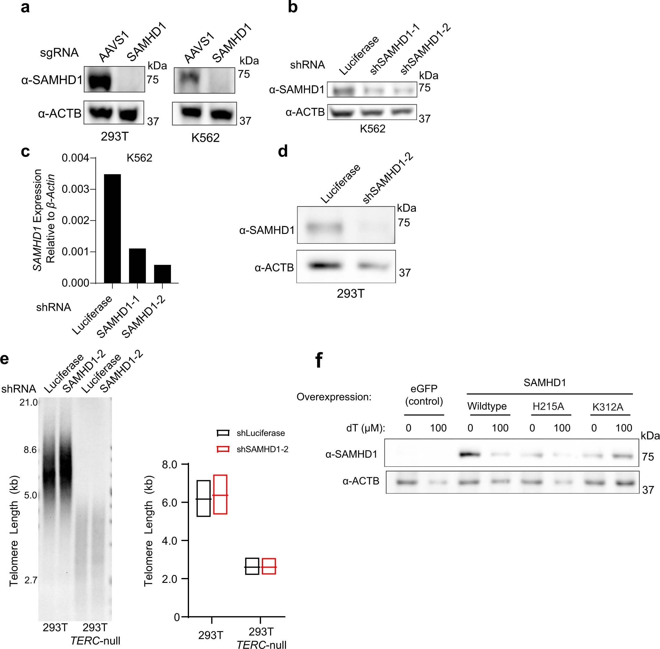 Extended Data Fig. 4