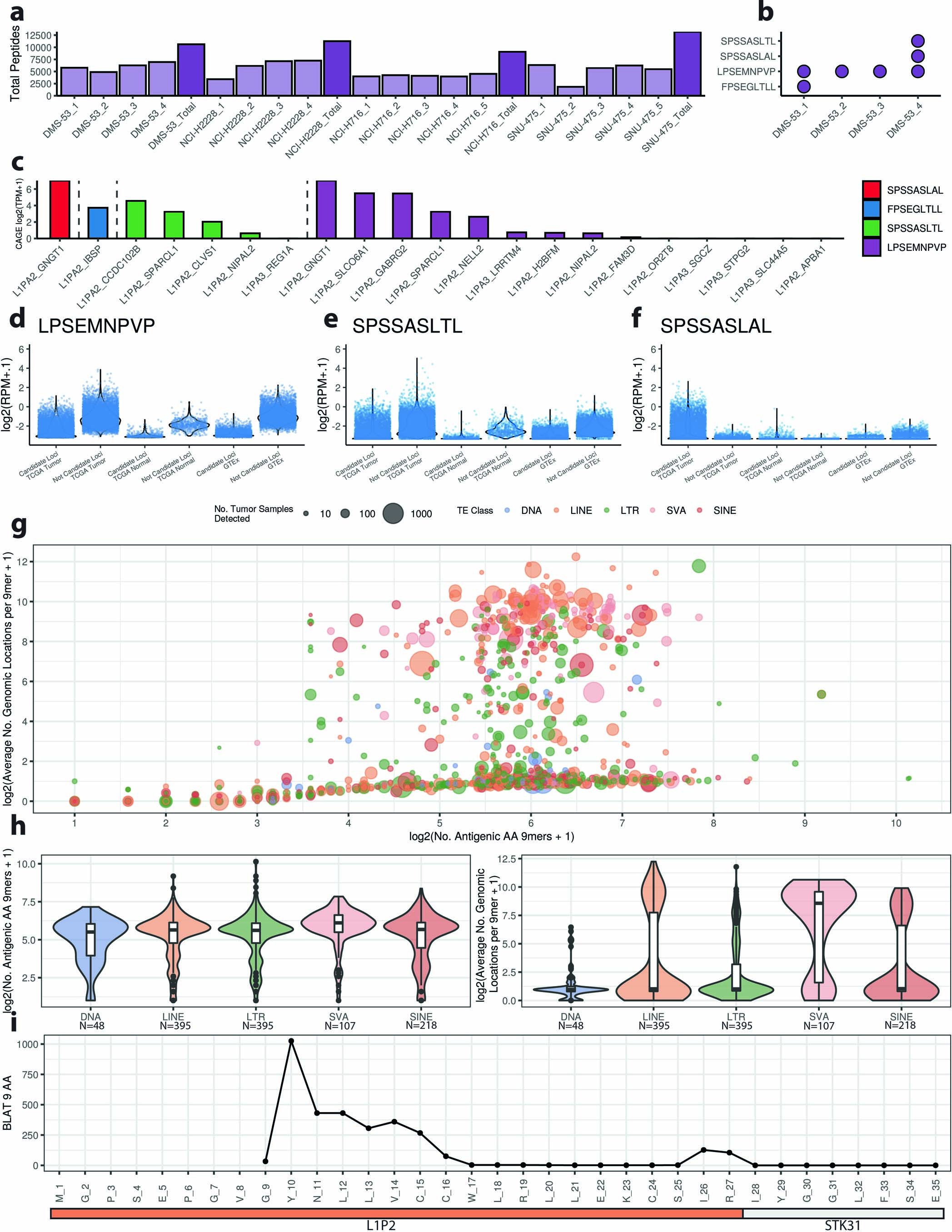 Extended Data Fig. 8: HLA-pulldown mass spectrometry detection of TS-TEAs and analysis of repetitiveness.