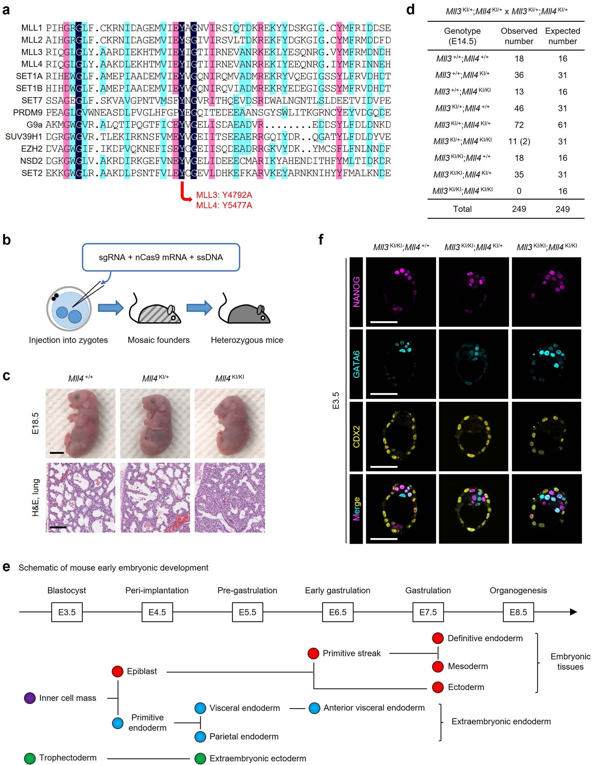 Extended Data Fig. 1