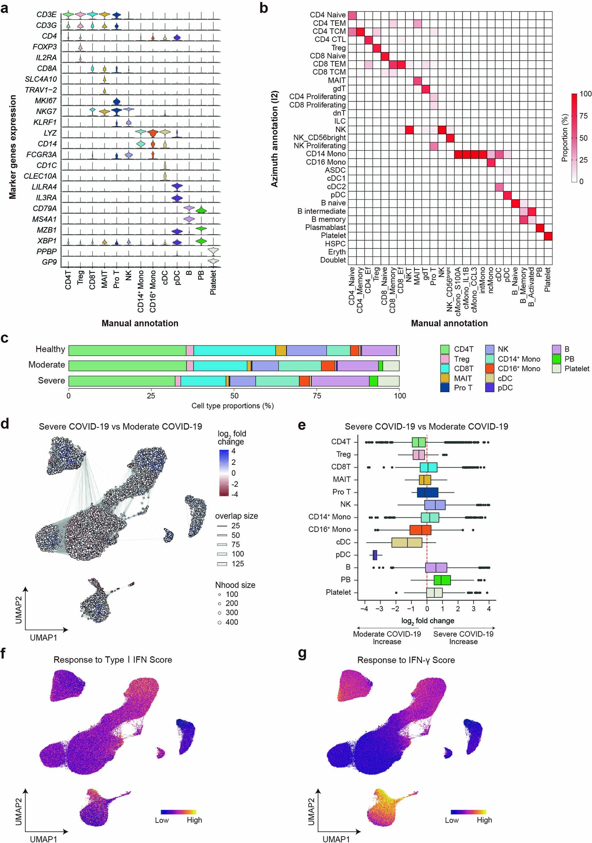 Extended Data Fig. 1: Cell type annotation of PBMC, differential abundance analysis and IFN responses.