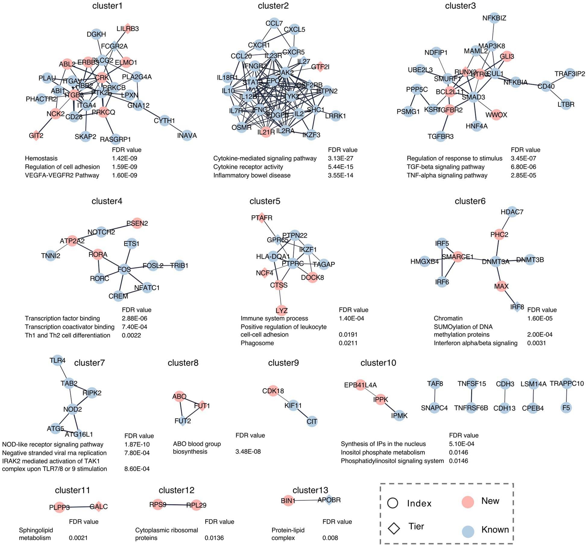 Extended Data Fig. 4: IBD gene network.