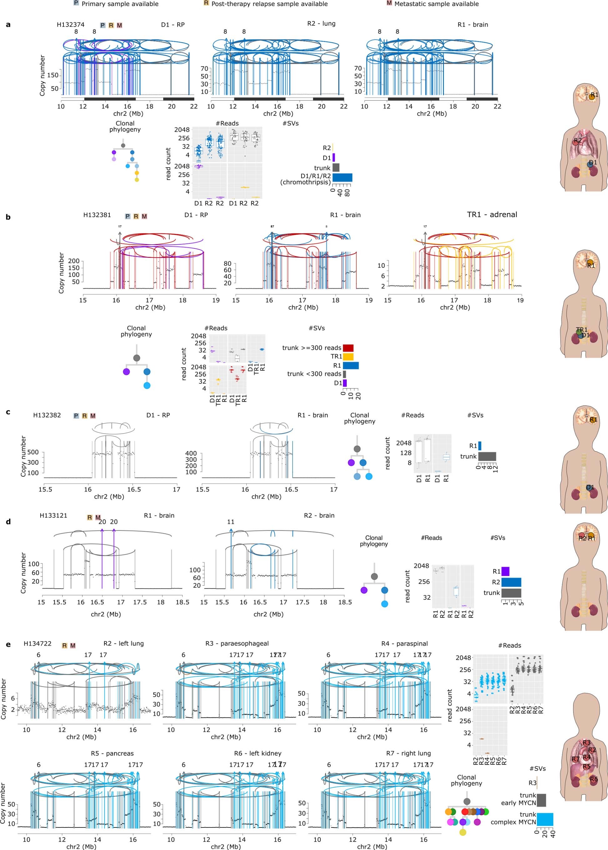 Extended Data Fig. 8