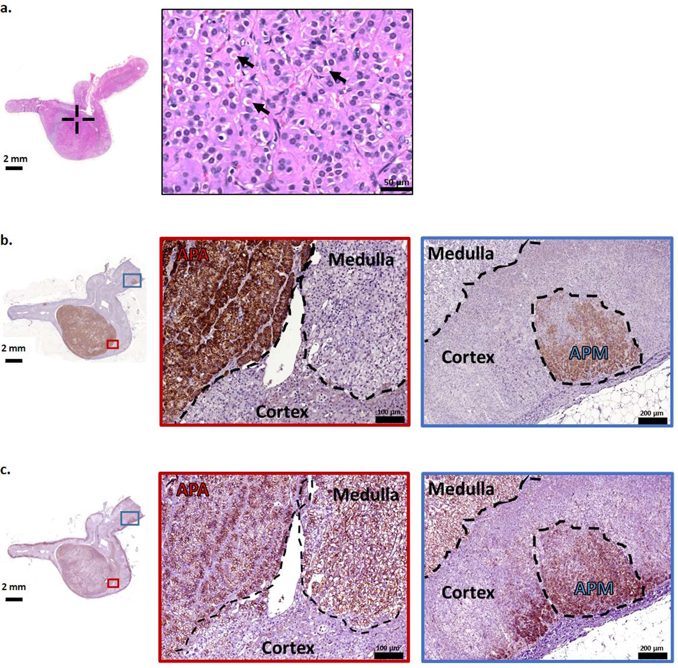 Extended Data Fig. 1