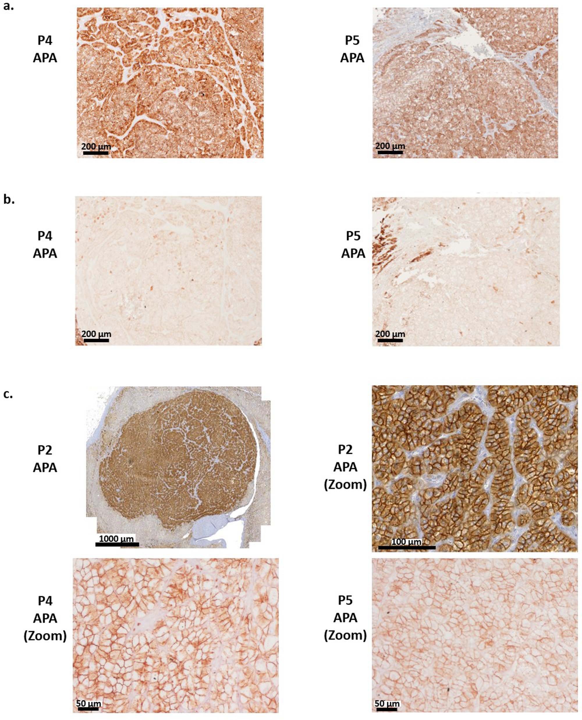 Extended Data Fig. 2