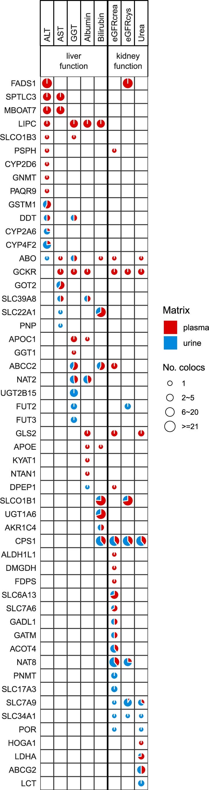 Extended Data Fig. 5: Colocalization of mQTLs with selected clinical markers of kidney and liver function.