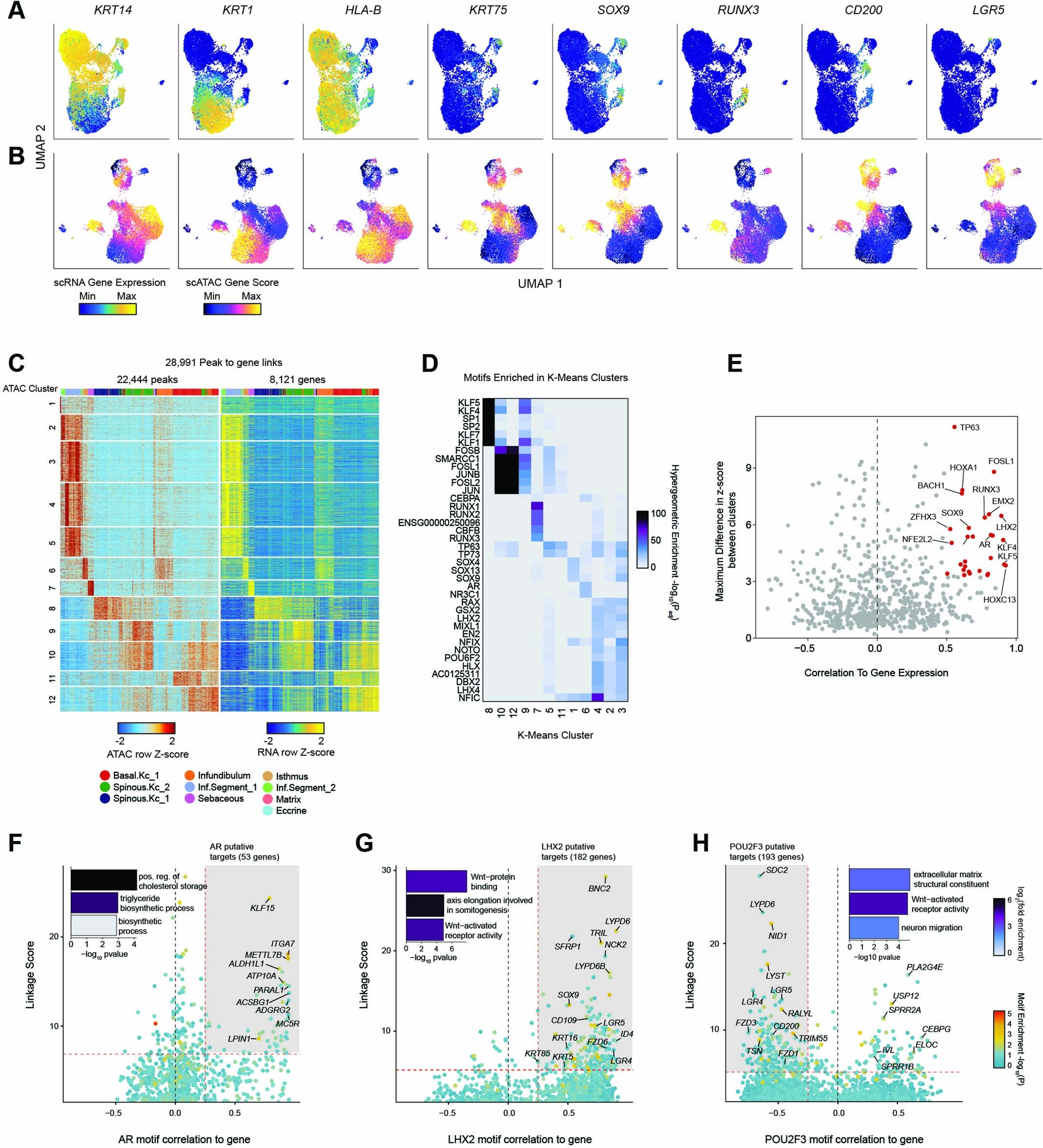 Extended Data Fig. 6