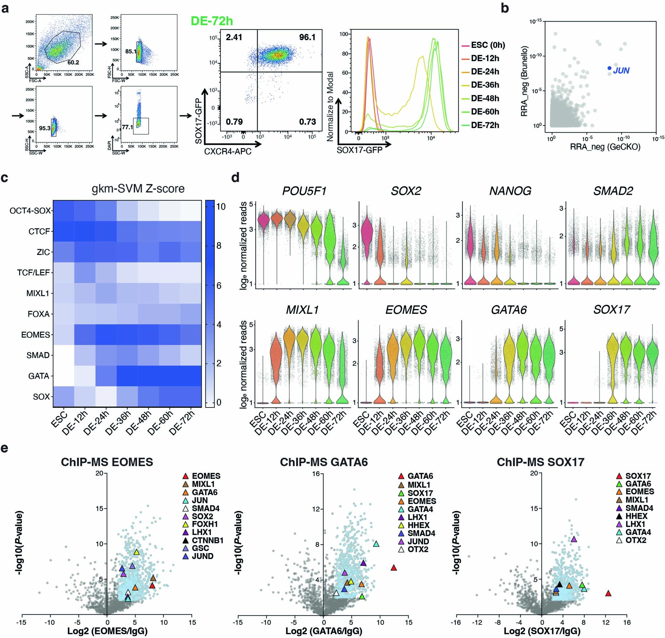 Extended Data Fig. 2: Core TFs identification and characterization during hESC-DE transition.