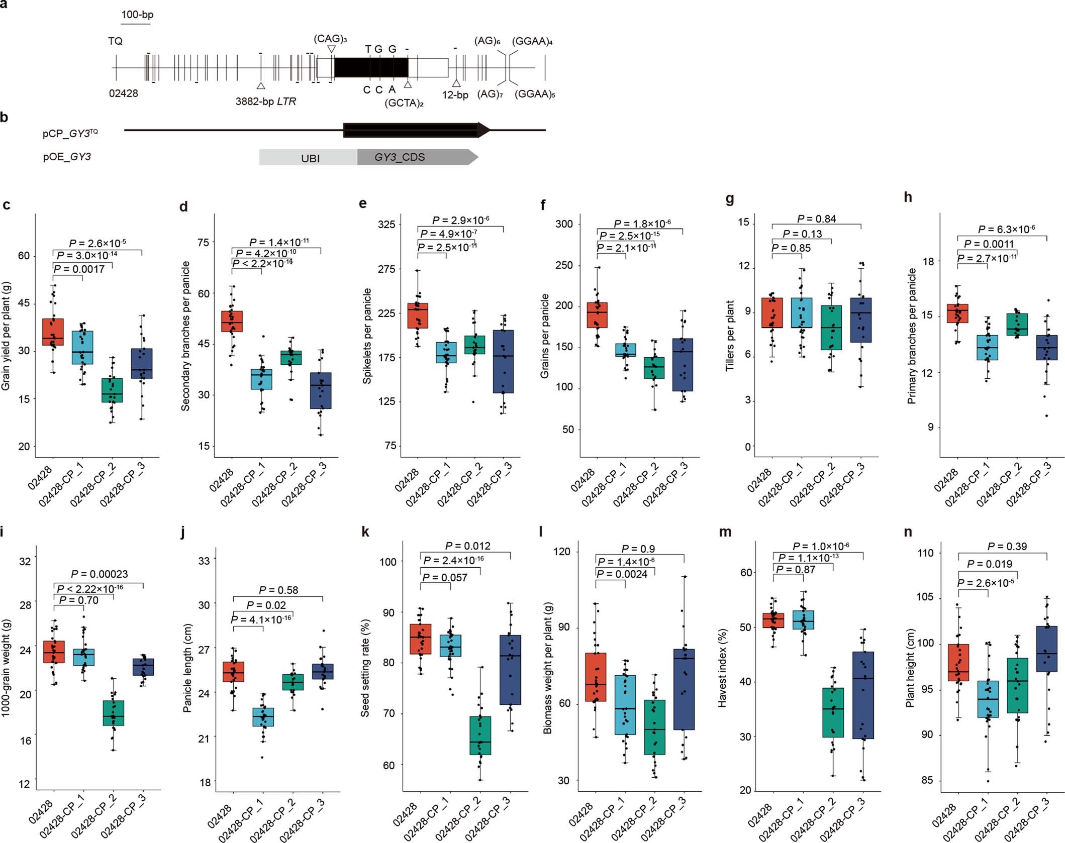 Extended Data Fig. 3: Natural variations and complementation test of GY3.
