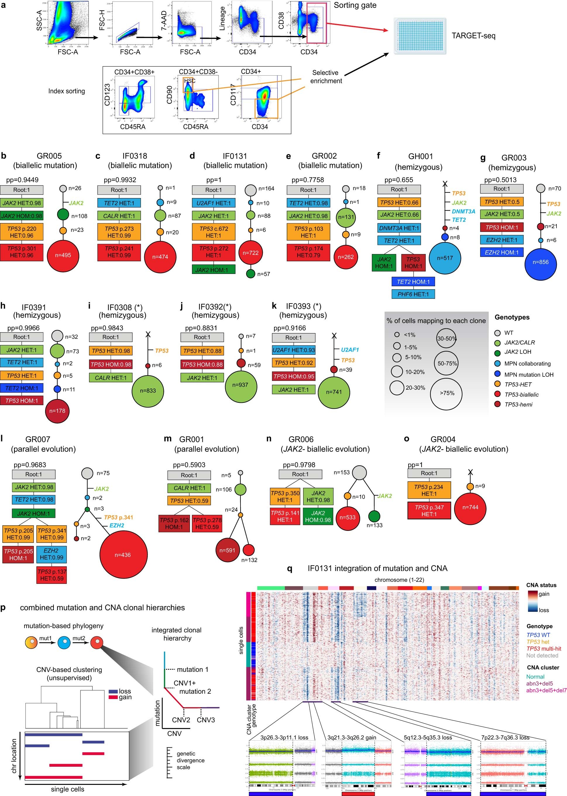 Extended Data Fig. 2: TARGET-seq sorting strategy and phylogenetic reconstruction of clonal hierarchies in TP53-sAML patients using a Bayesian model.
