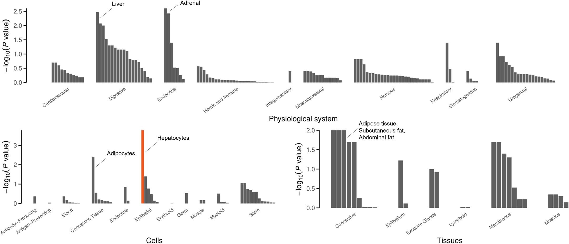 Extended Data Fig. 5: DEPICT analysis of biological enrichment of NAFLD associated variants.