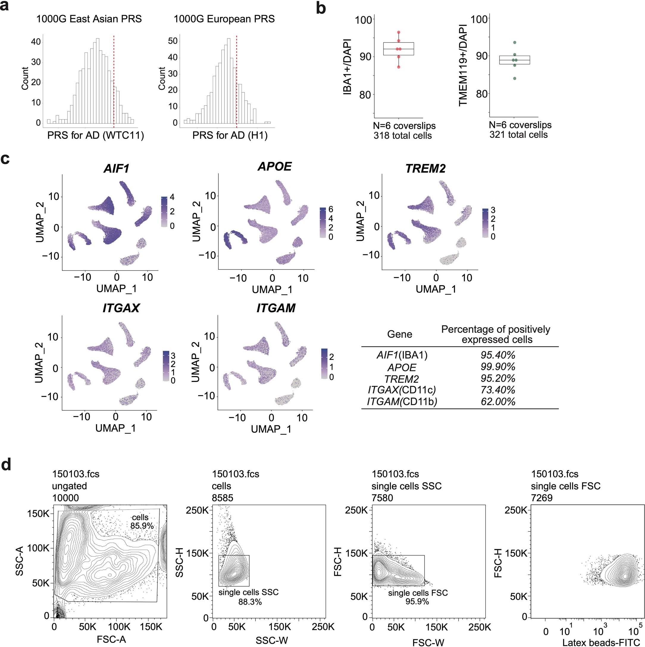 Extended Data Fig. 1: Characterization of the hPSC-derived microglia-like cells.