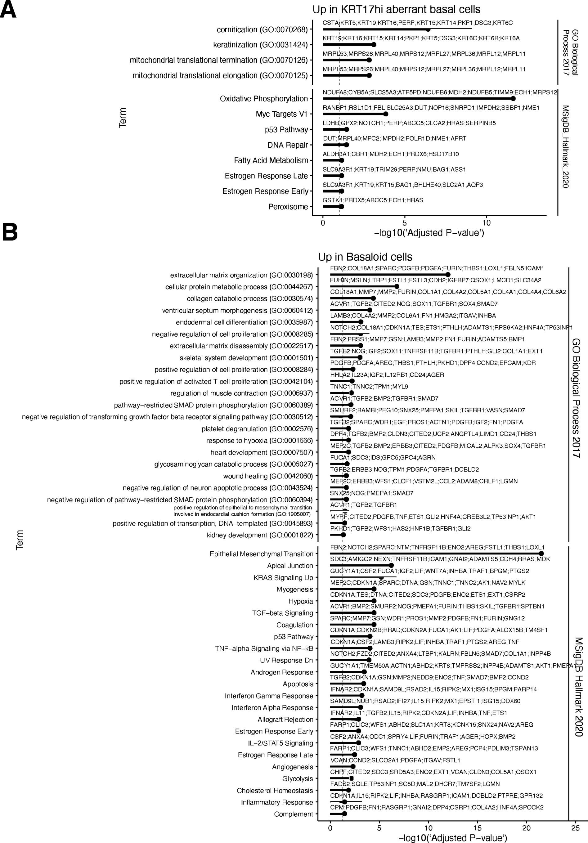 Extended Data Fig. 9: Differential expression analysis to identify markers for aberrant basal-like cells detected with ACR design.