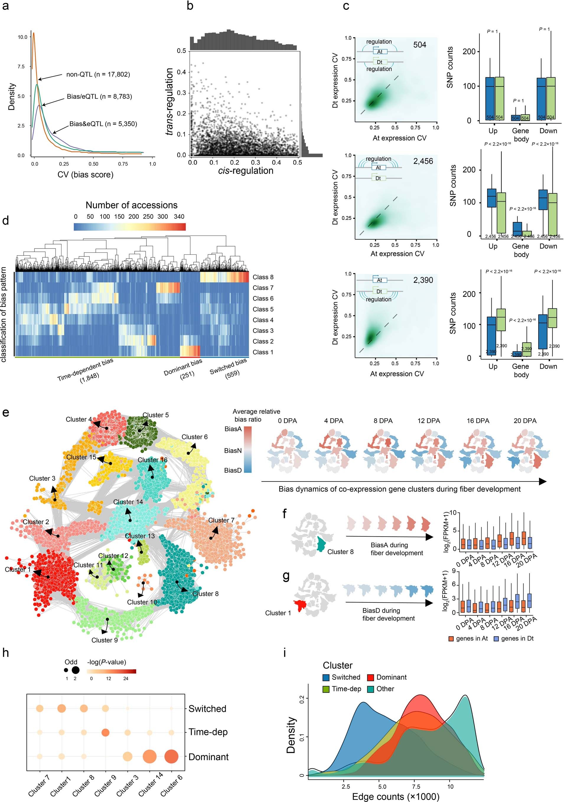 Extended Data Fig. 5: Characterization of homoeologous expression bias and its dynamics across stages.