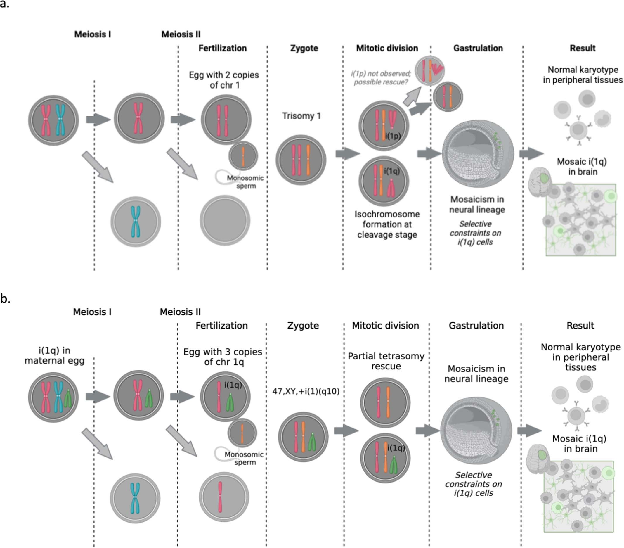 Extended Data Fig. 8