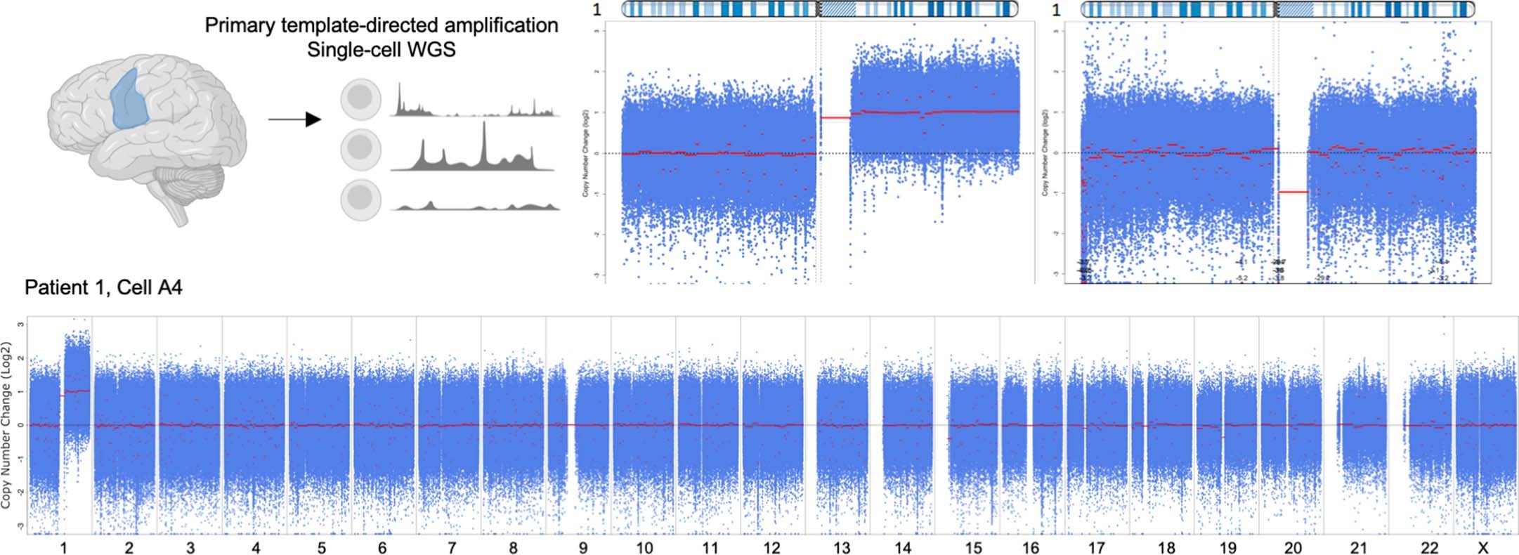 Extended Data Fig. 1