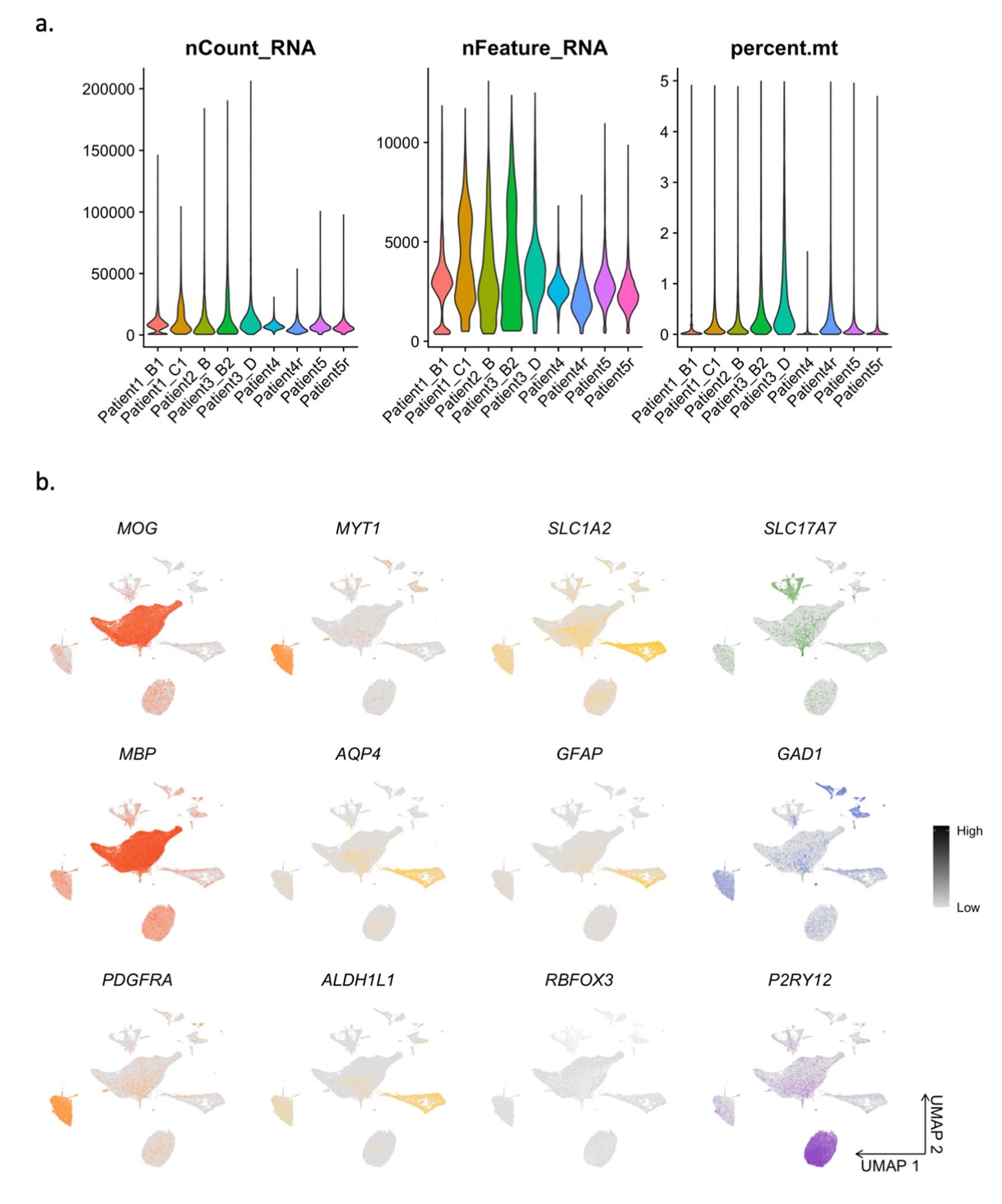Extended Data Fig. 5