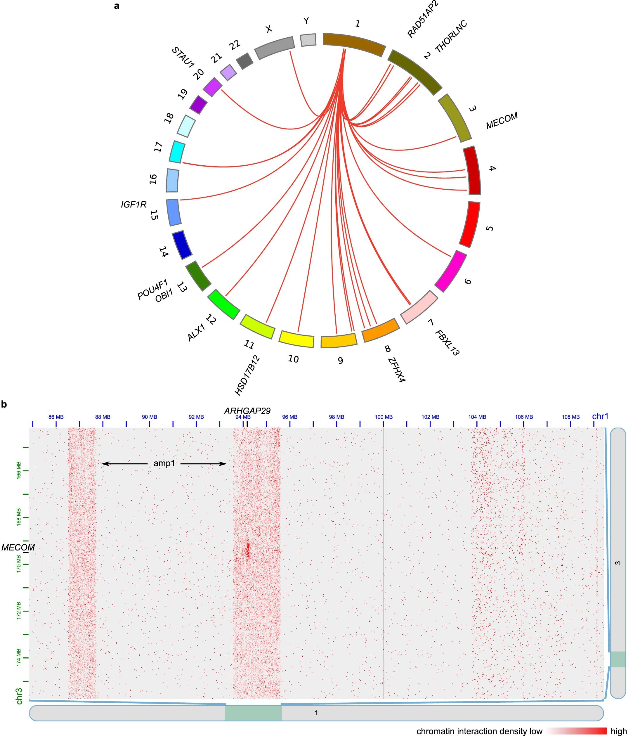 Extended Data Fig. 10: The RCMB56 amp1 ecDNA interacts with chromosomal gene loci.