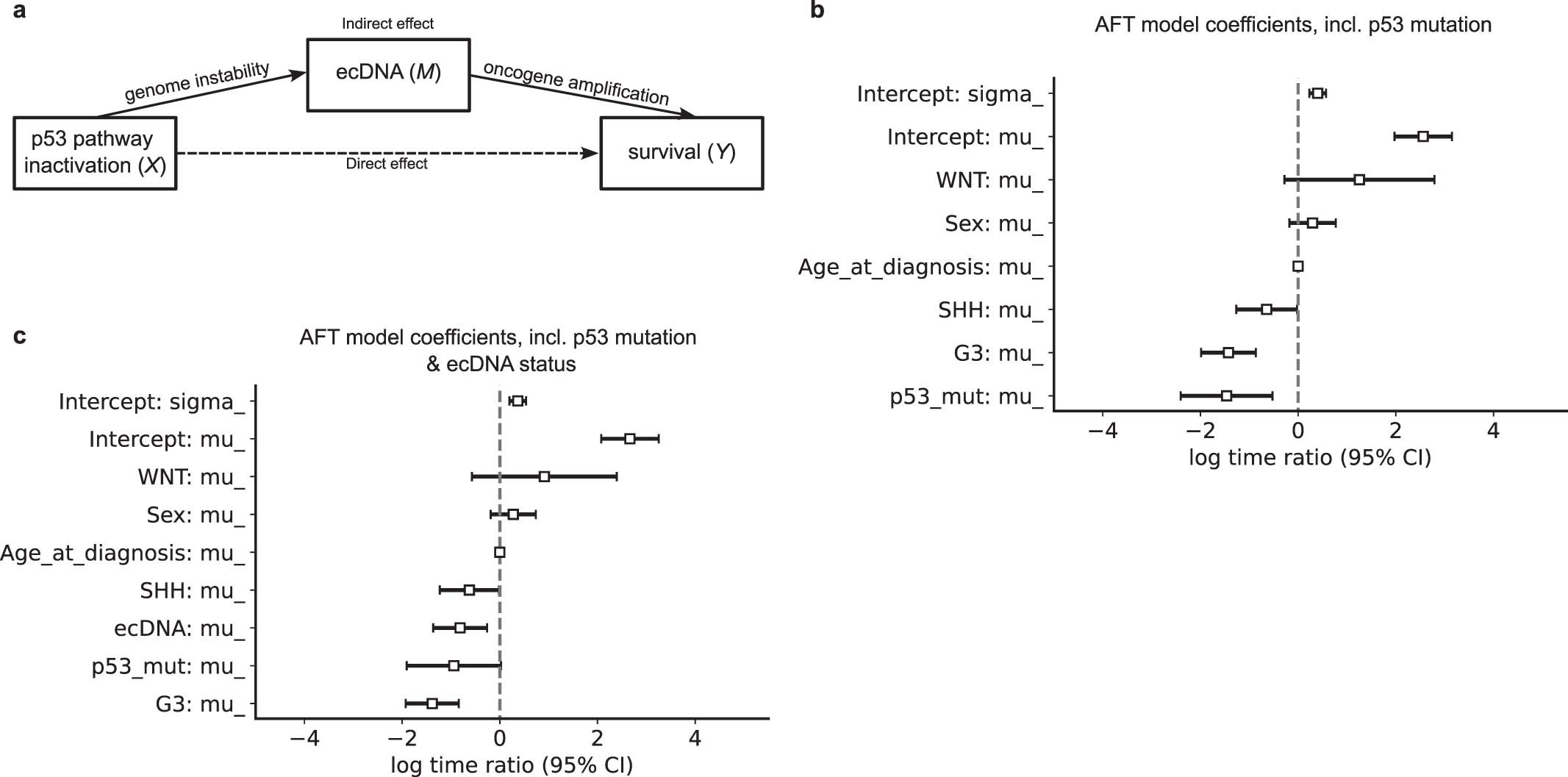 Extended Data Fig. 3: Mediation links ecDNA to known prognostic markers.