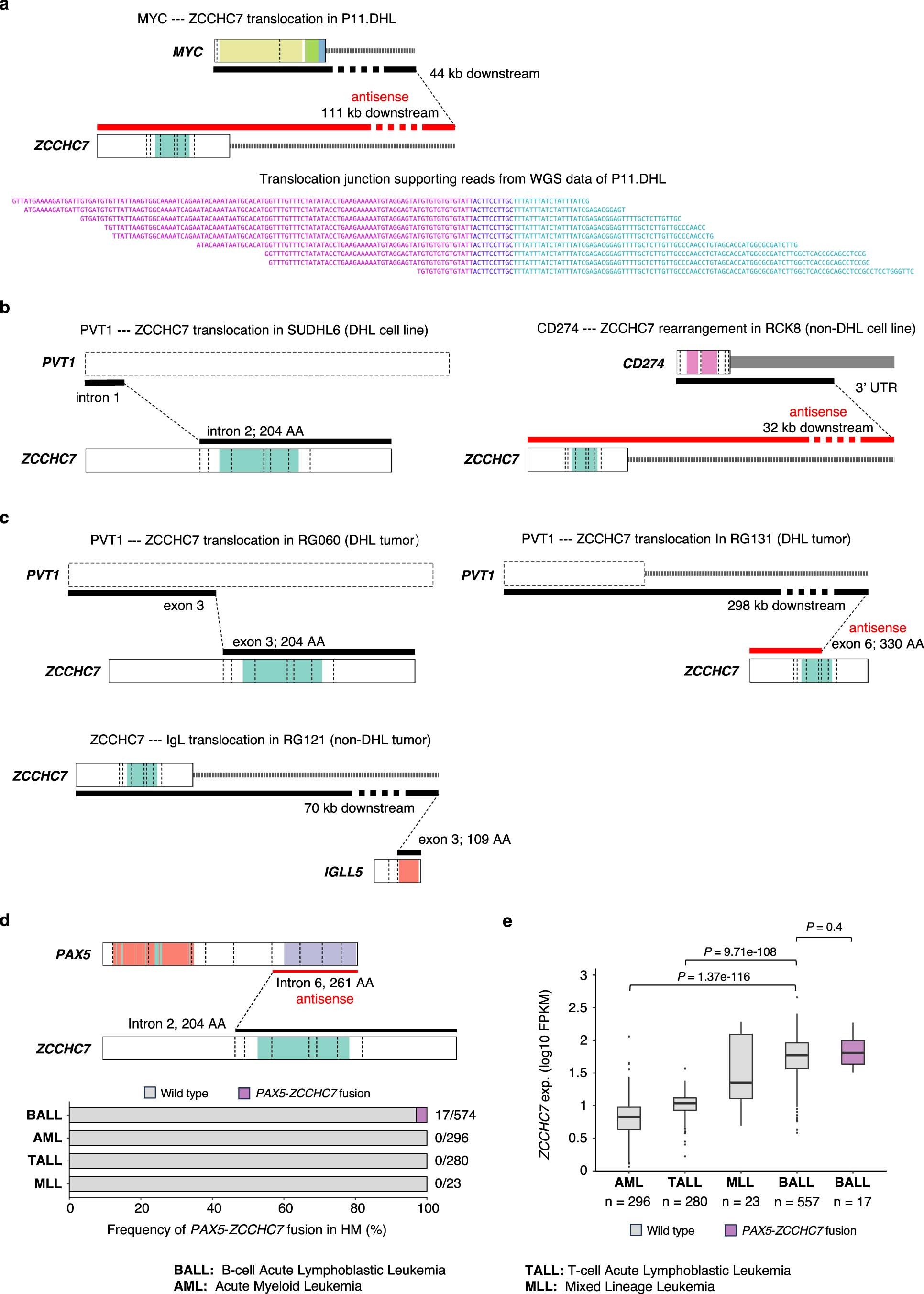 Extended Data Fig. 7: Structural variants involving ZCCHC7.