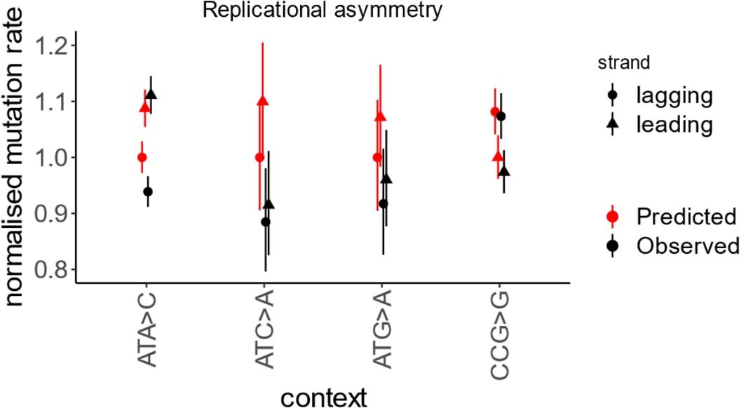 Extended Data Fig. 1: Effect of replication fork direction on the rate of rare synonymous SNVs.