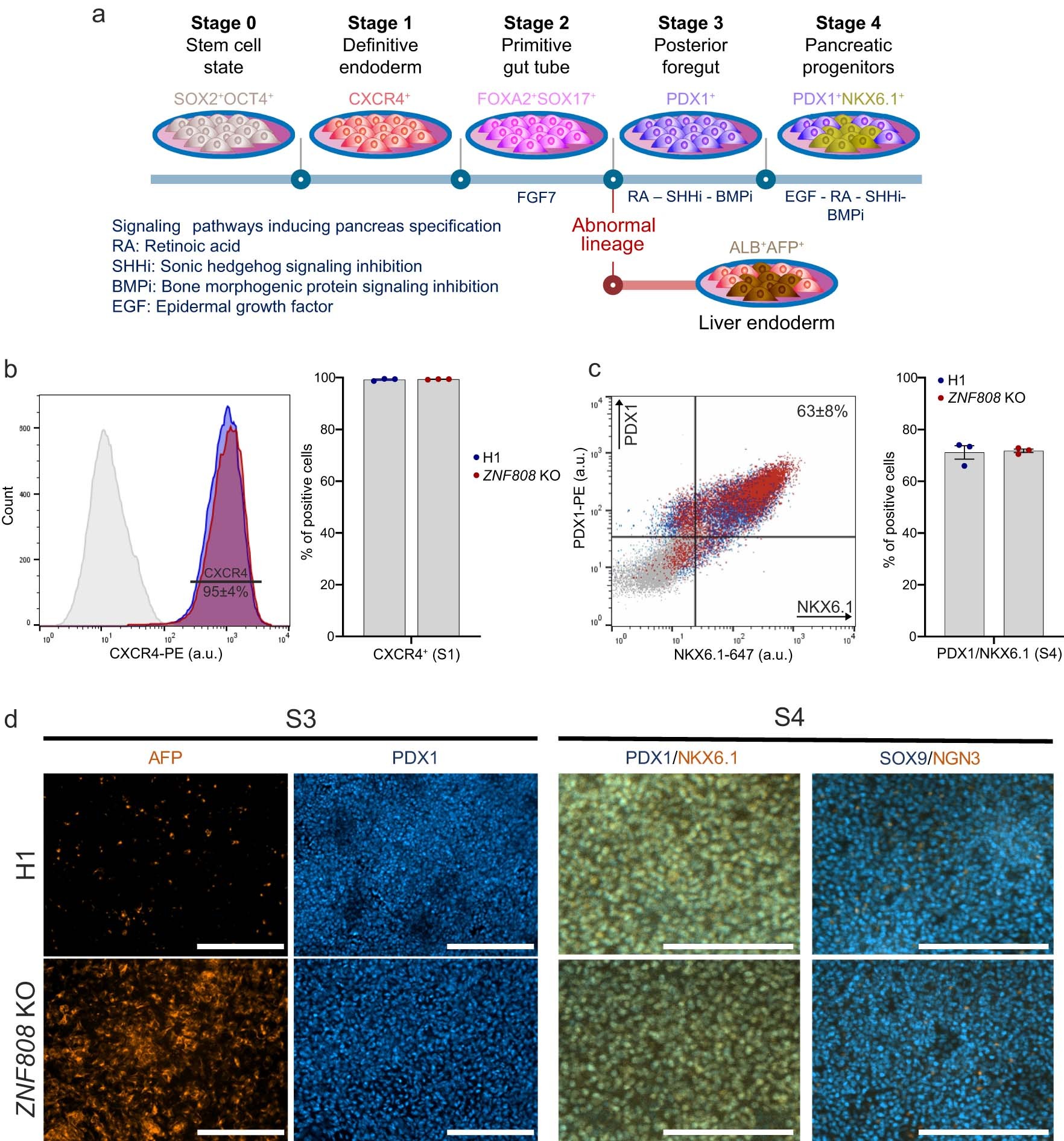 Extended Data Fig. 3