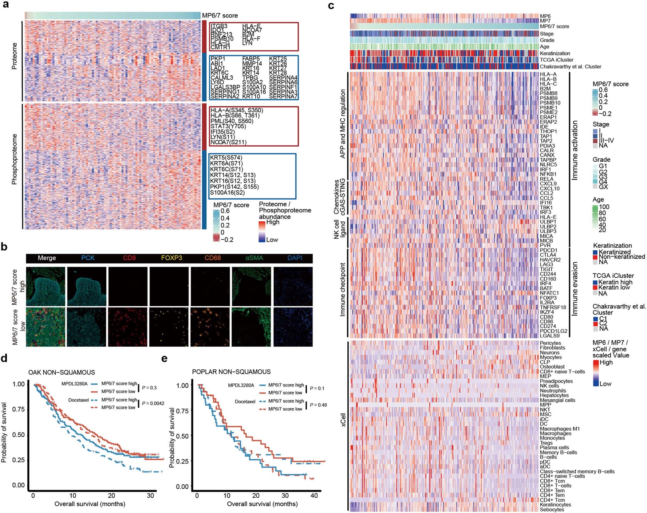 Extended Data Fig. 8: The inverse relationship of MP6 tumor cell phenotype and immune infiltration is present in multiple CSCC datasets.