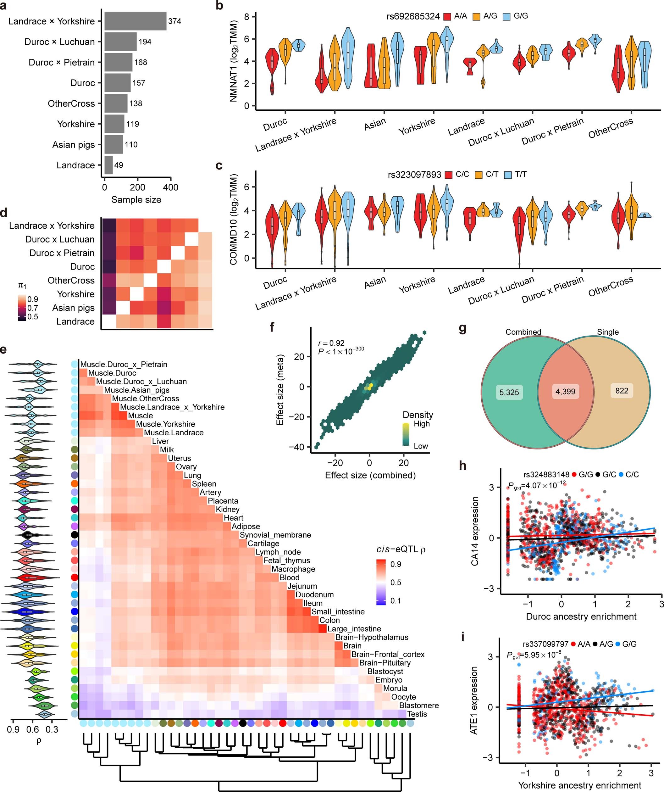 Extended Data Fig. 7: Breed sharing and interaction cis-eQTL (bieQTL).