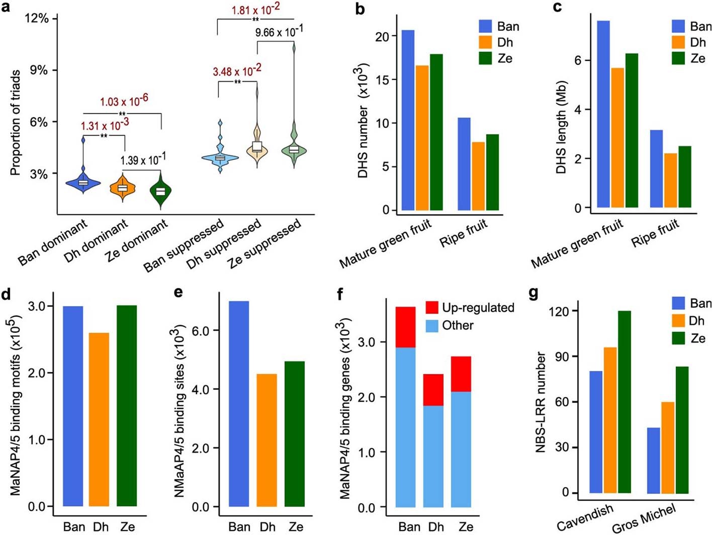 Extended Data Fig. 7: Sub-genome dominance in the triploid banana genome.