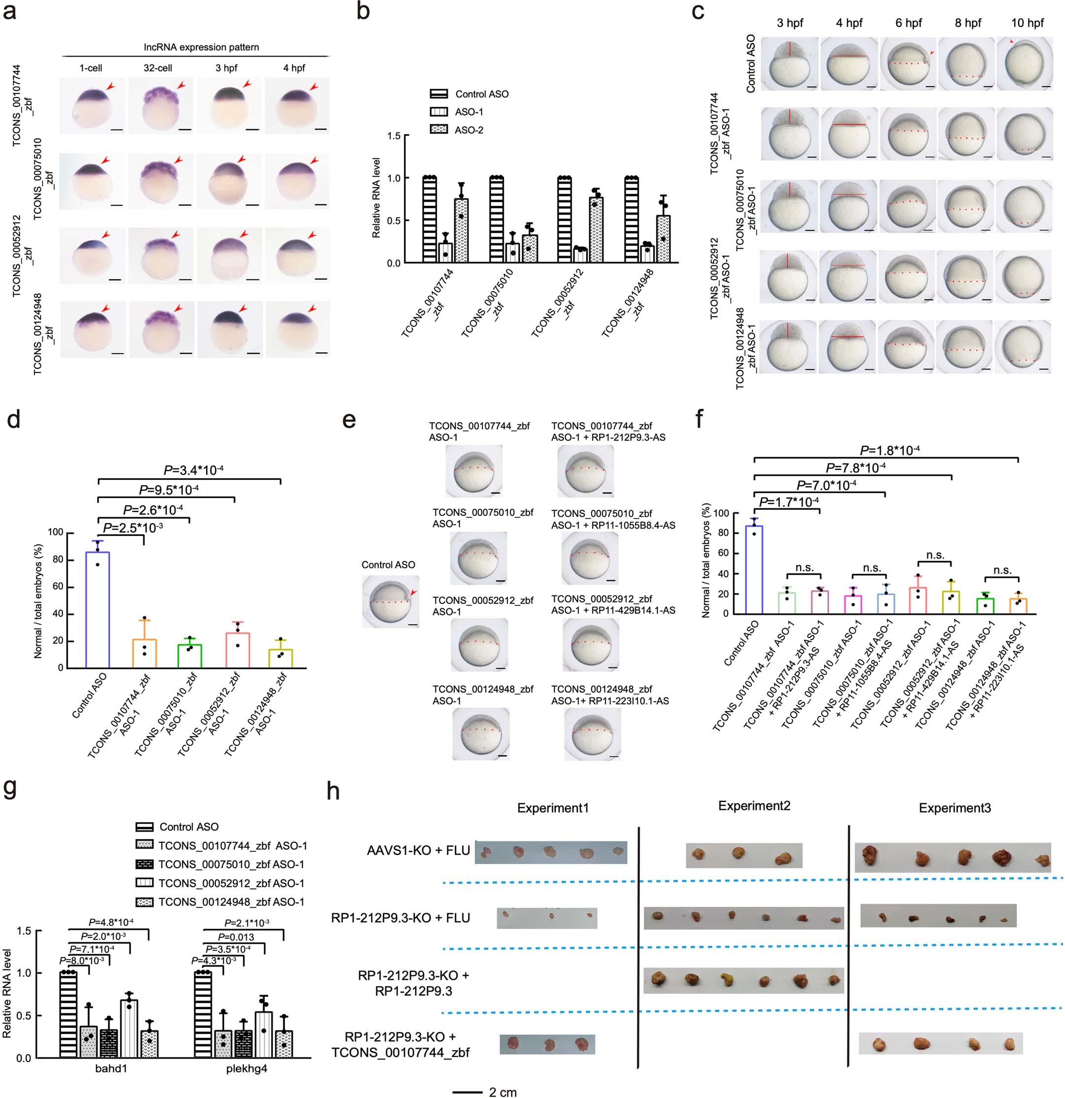Extended Data Fig. 8