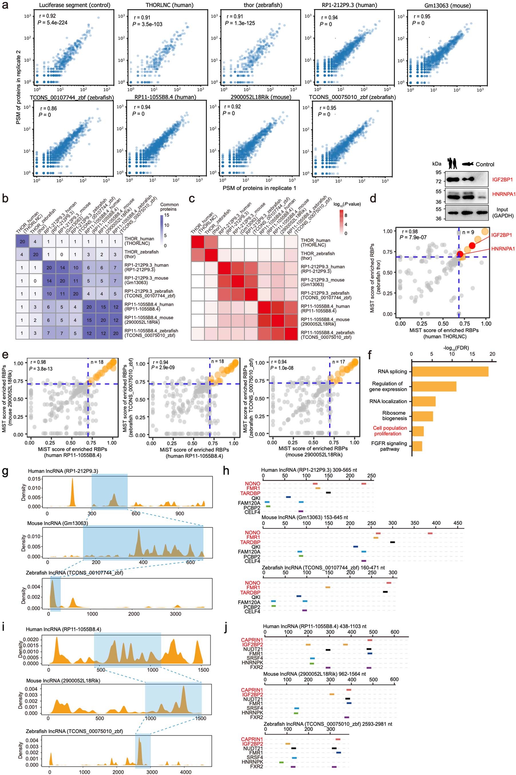 Extended Data Fig. 9