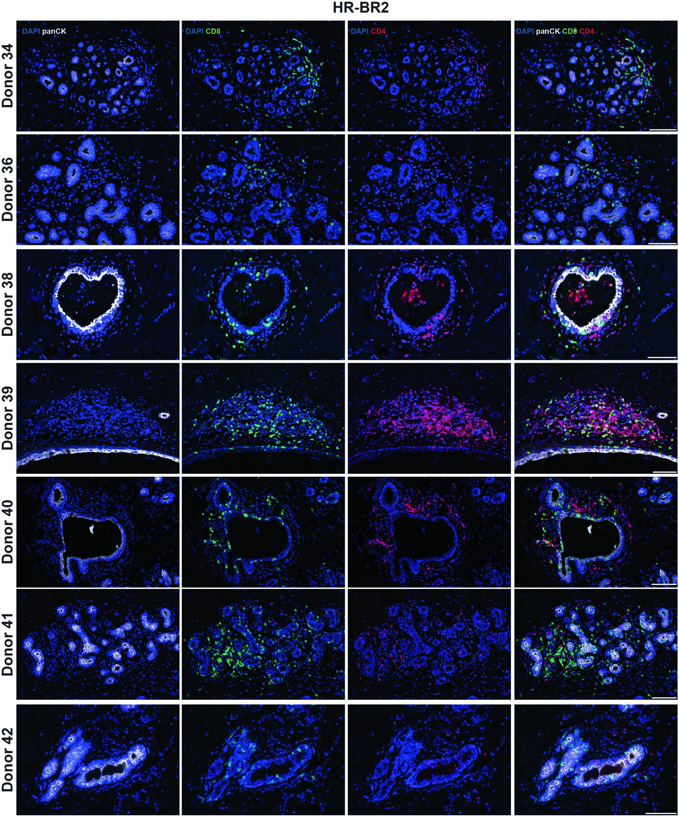 Extended Data Fig. 8