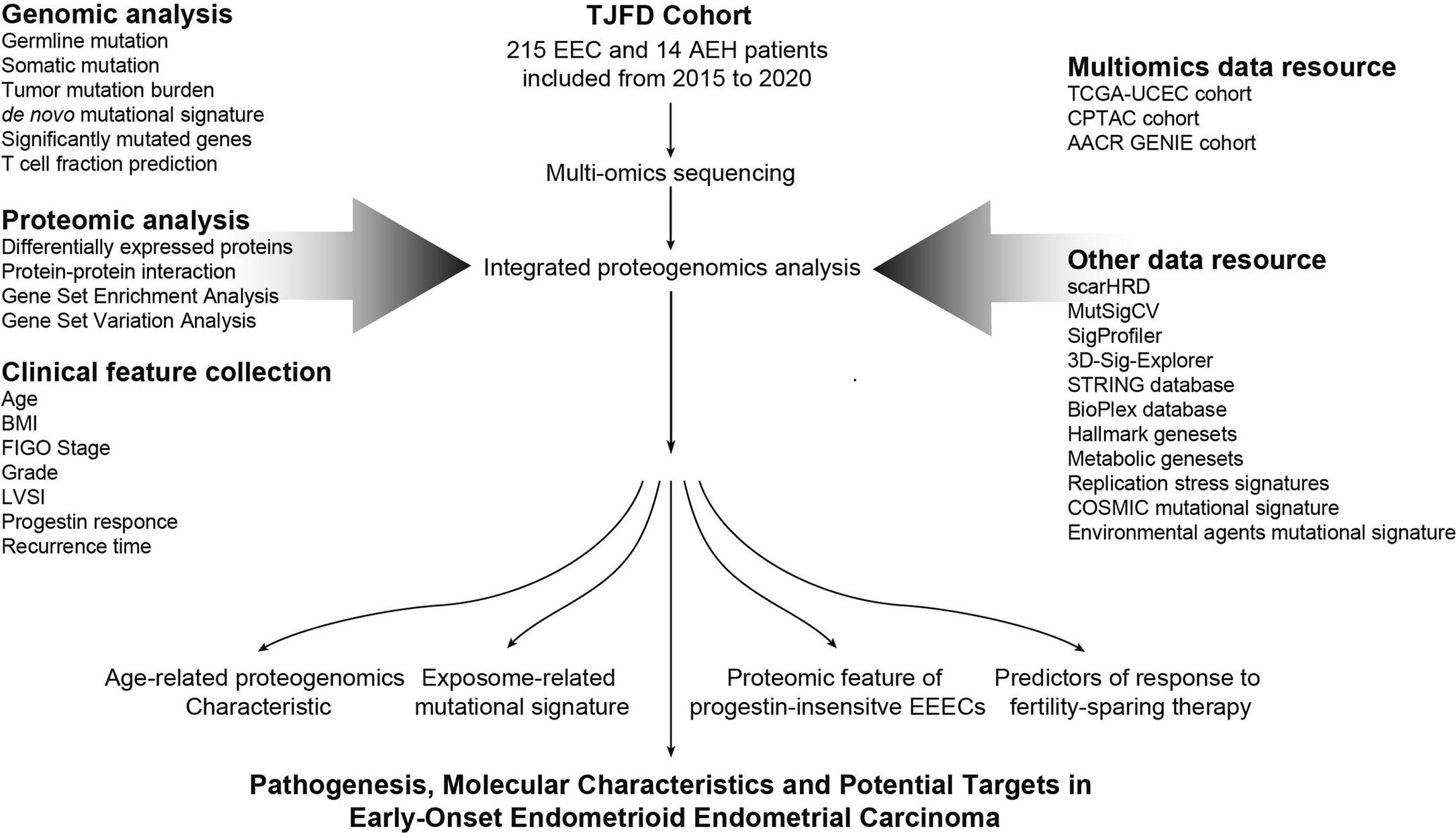 Extended Data Fig. 1: The workflow of the TJFD-EC proteogenomic study.