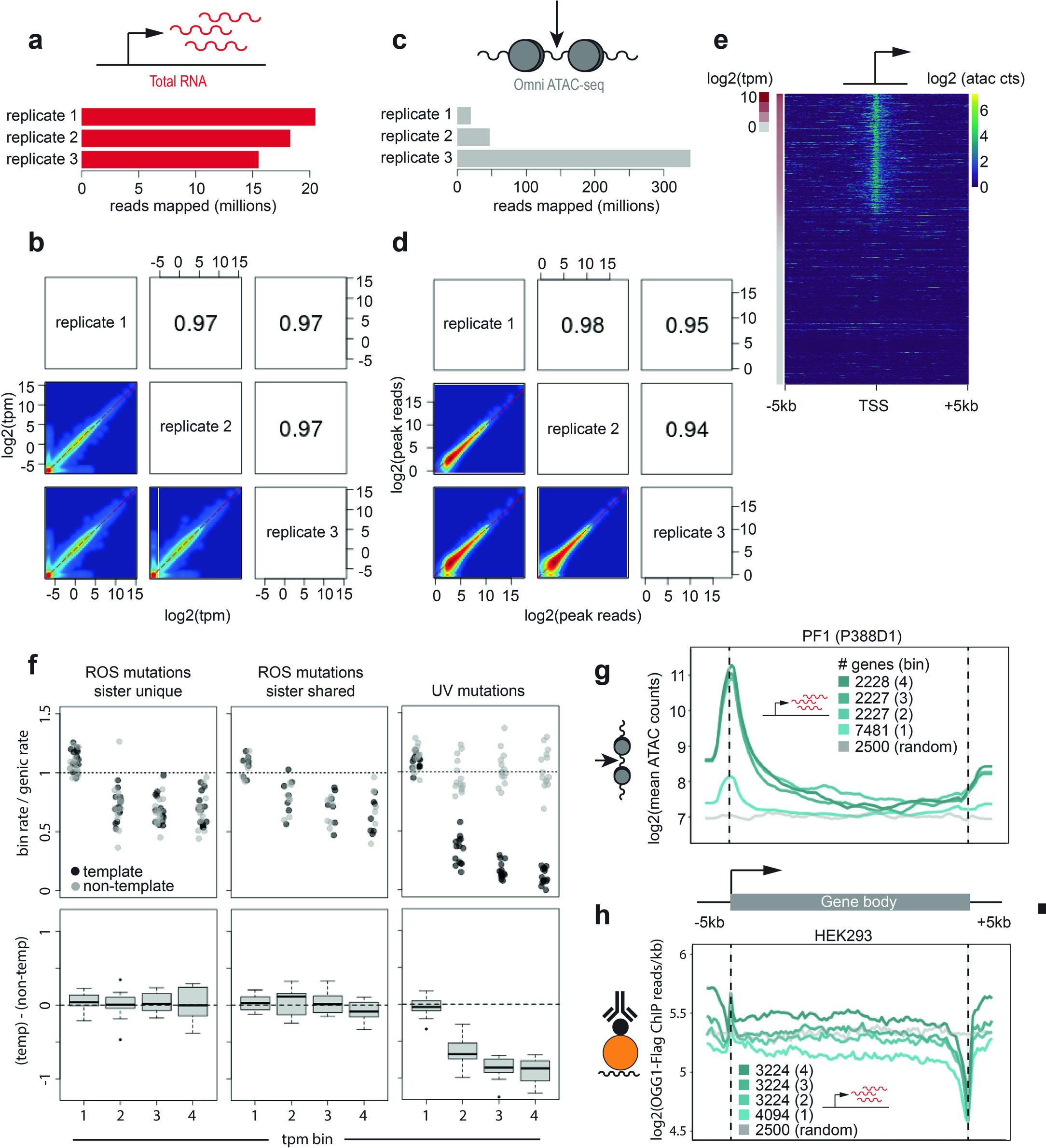 Extended Data Fig. 4