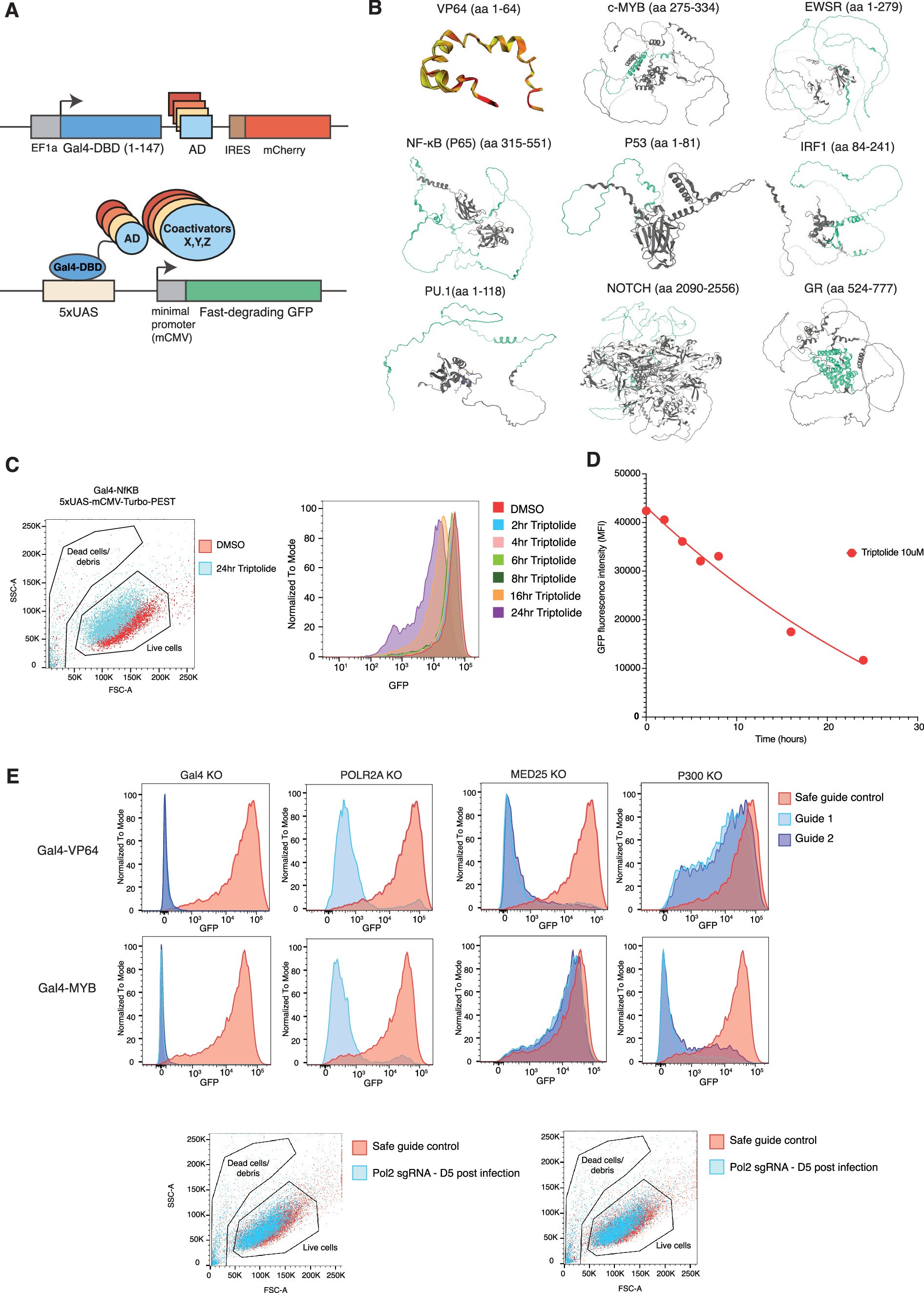 Extended Data Fig. 1: Establishing the screening system.